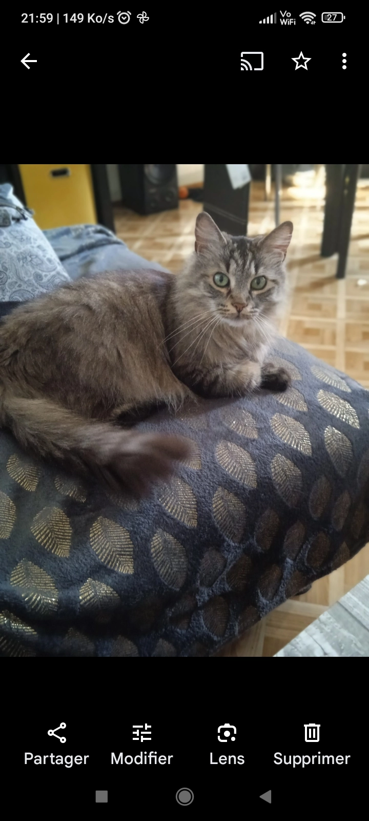 Vanille - 48 Avenue Racine, Strasbourg