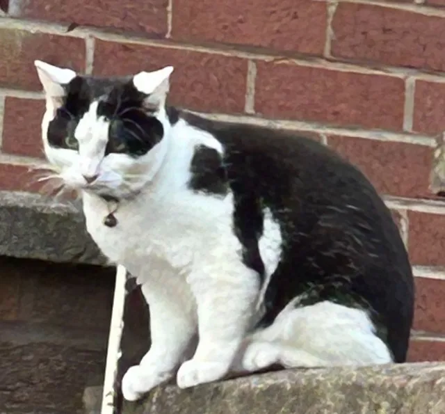 Terry - Whitehall Close, Nuneaton