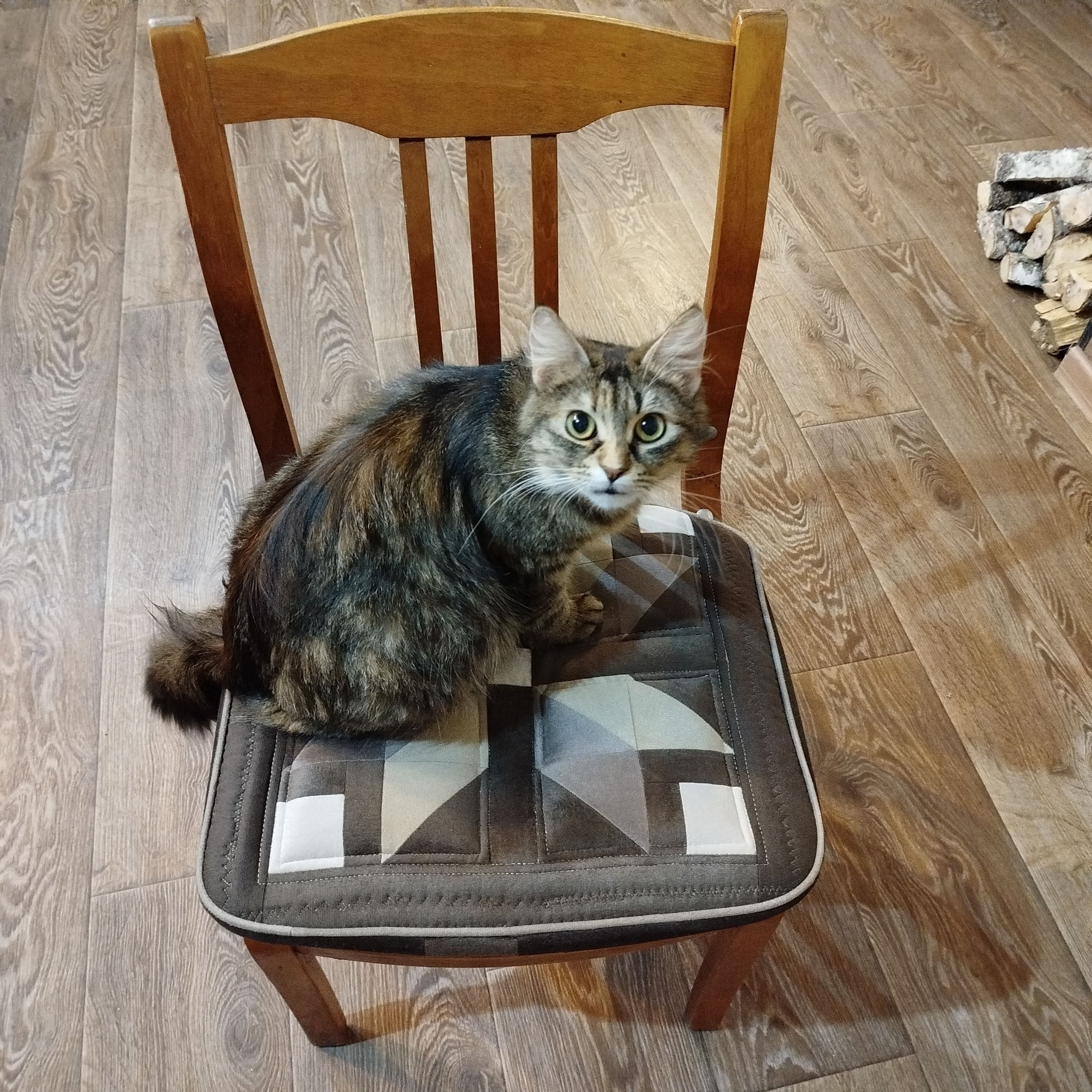 Сима - Вуліца Урыцкага, Mscislaŭ