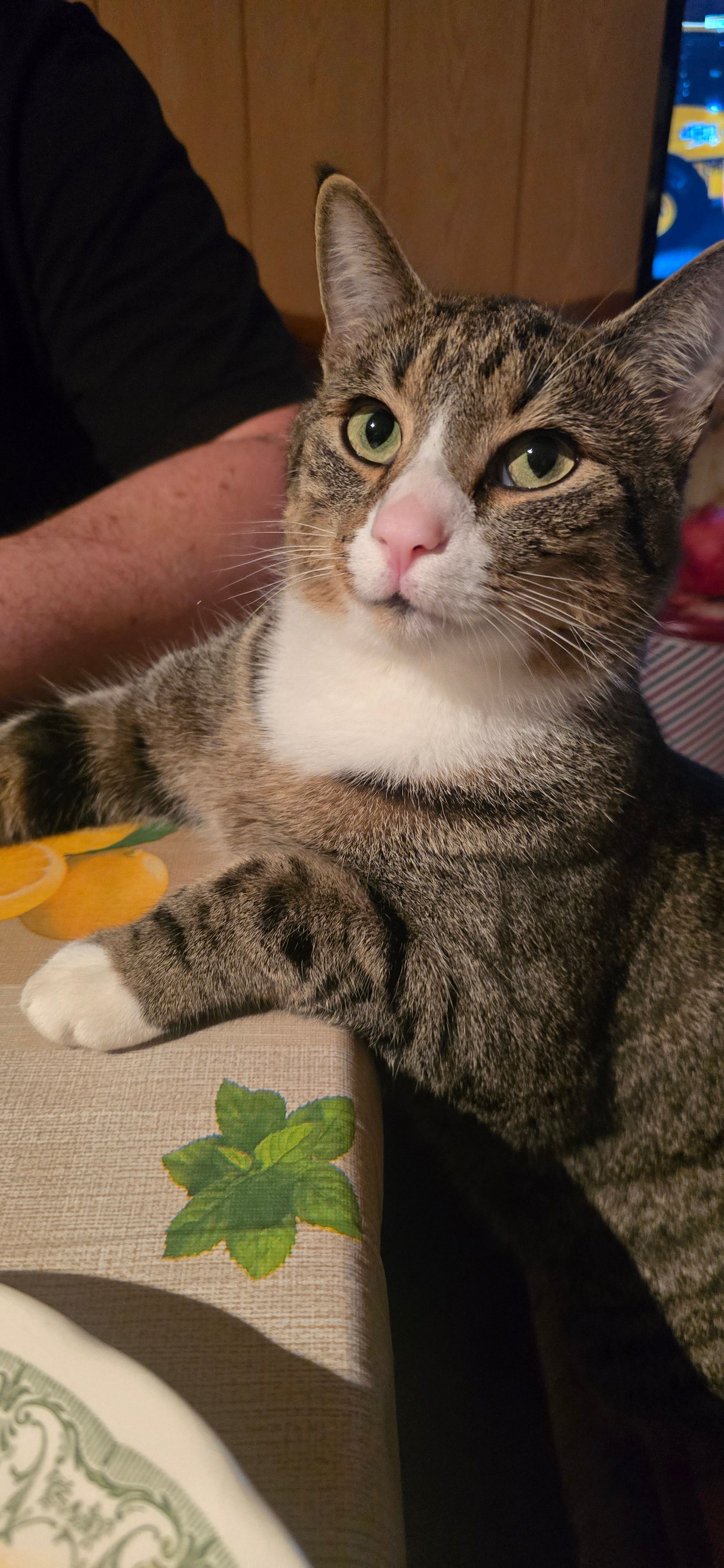 Charly - Olbernhauer Straße, Großhartmannsdorf