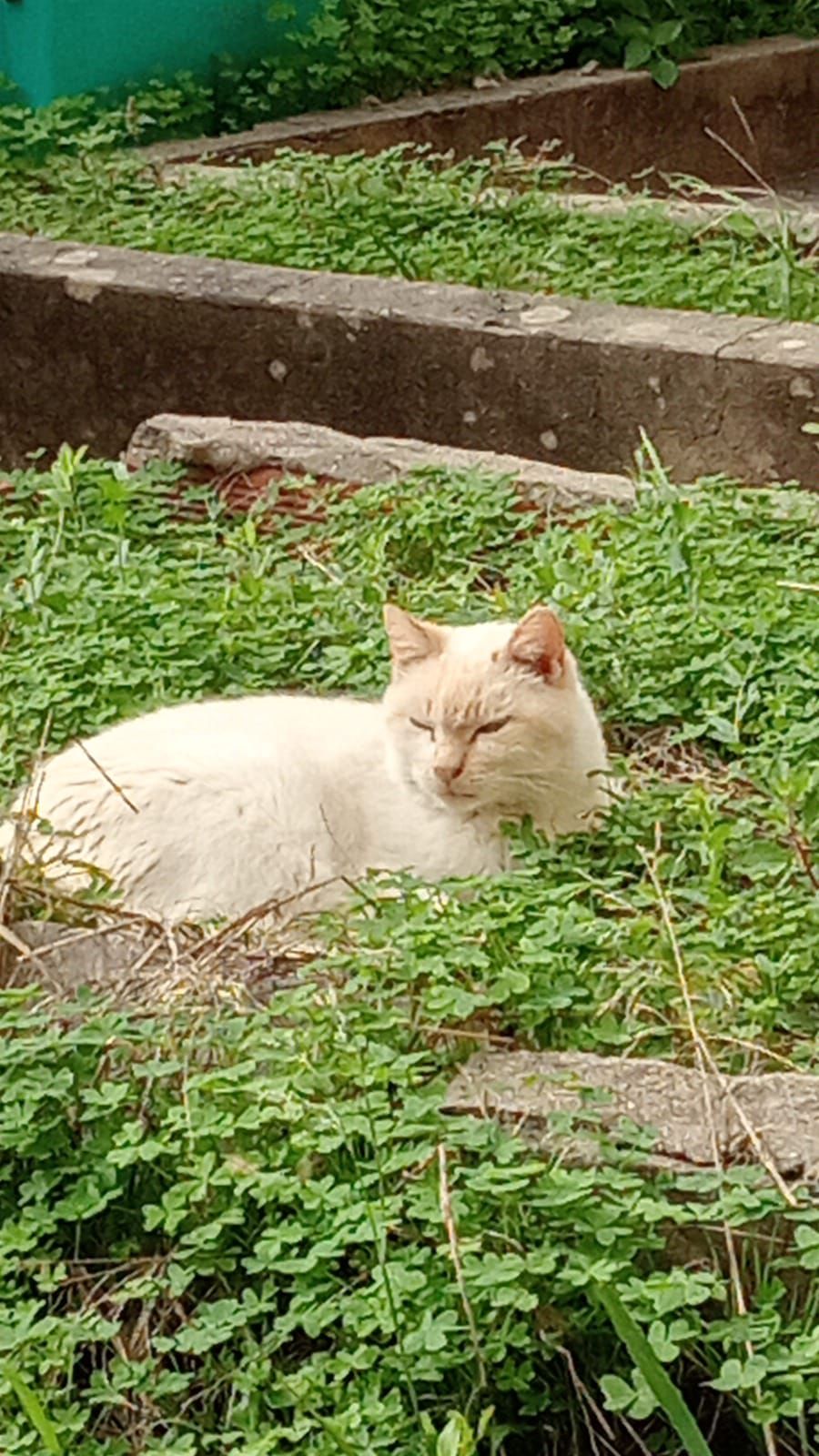 Kat - Rua do Teodoro 140, Coimbra