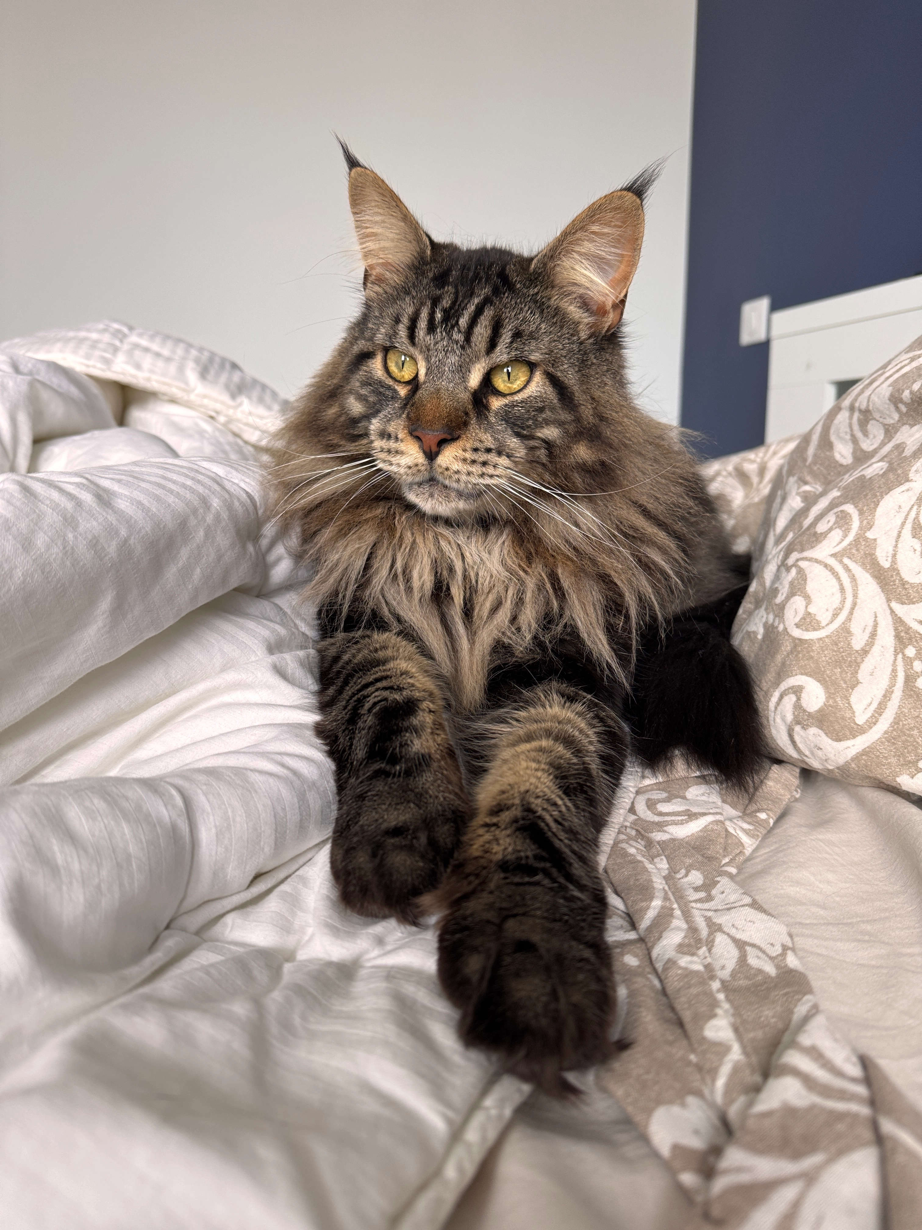 Upsso - Rue Garros, Vichy