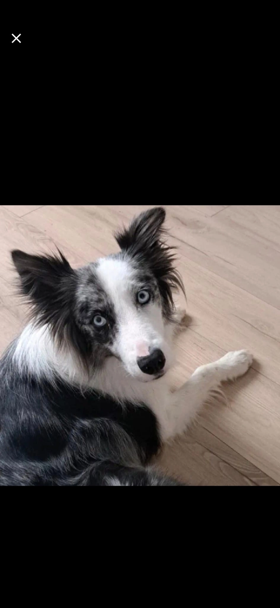 Seven - 1111, Diemen