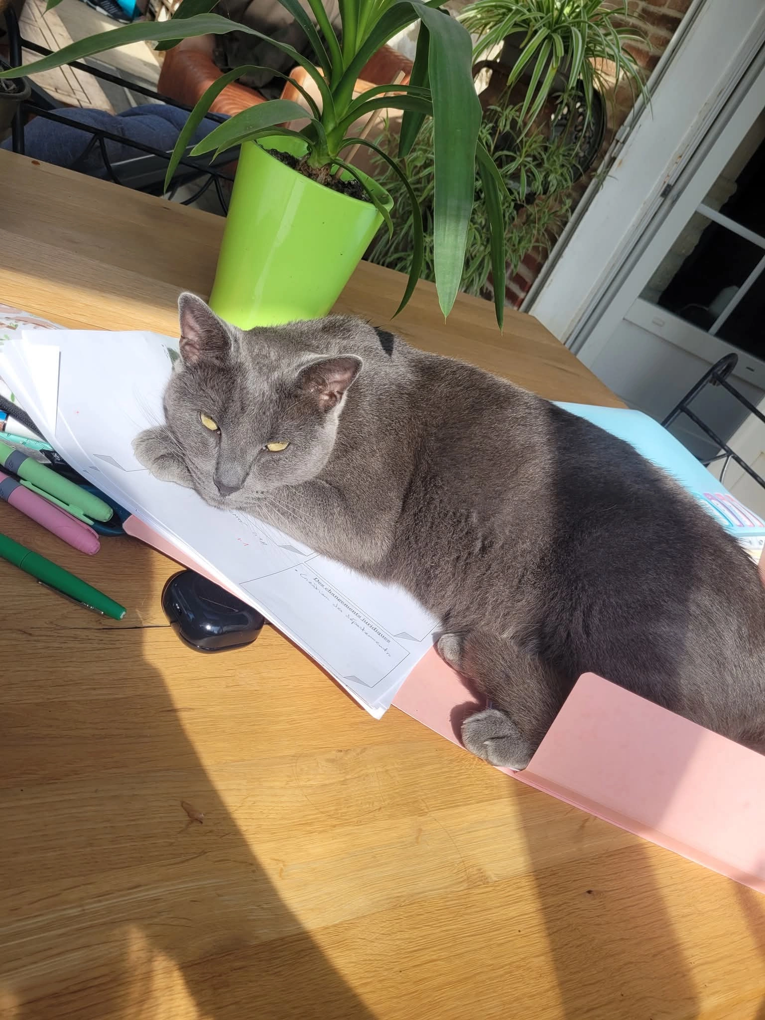 Charles - 3 Chemin du Moulin, Valescourt