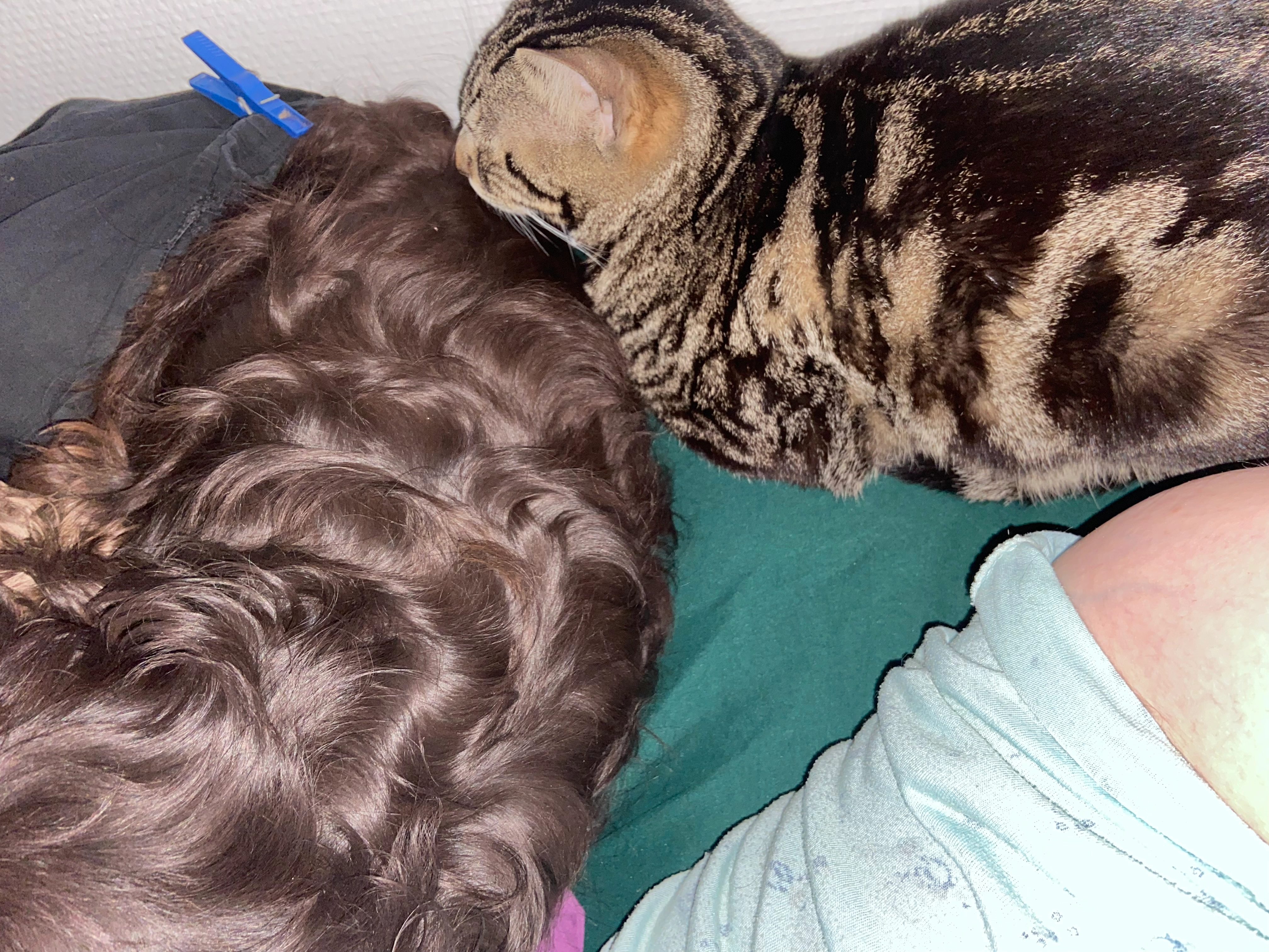 Vega - Avenue Étienne Dailly, Nemours