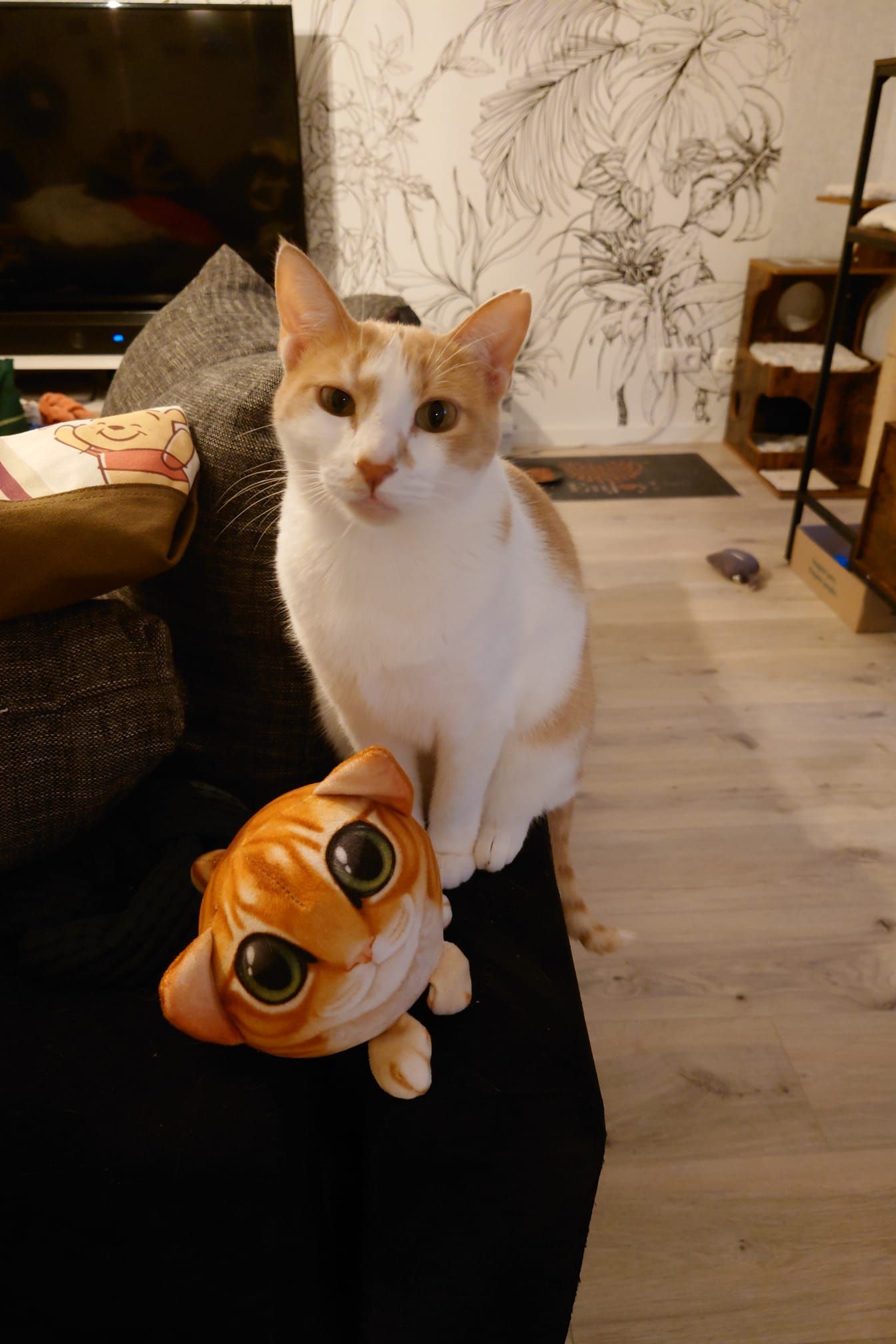 Baylis - Sander Straße, Paderborn