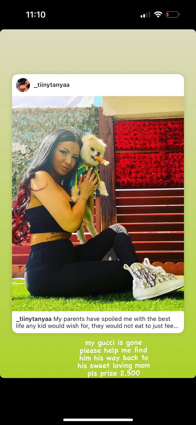 gucci  - Raymond Avenue, Glendale