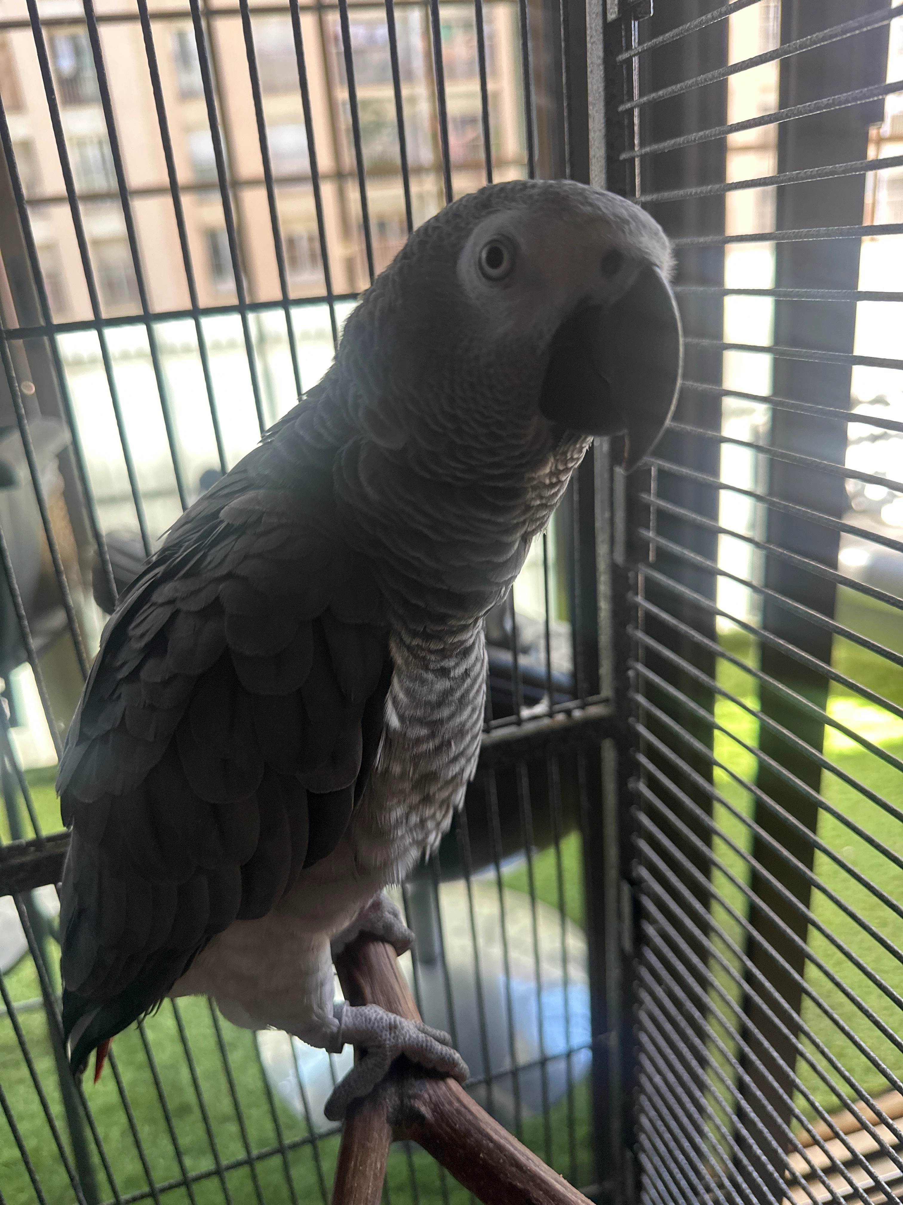 Yaco - Carrer De La Selva De Mar, Barcelona