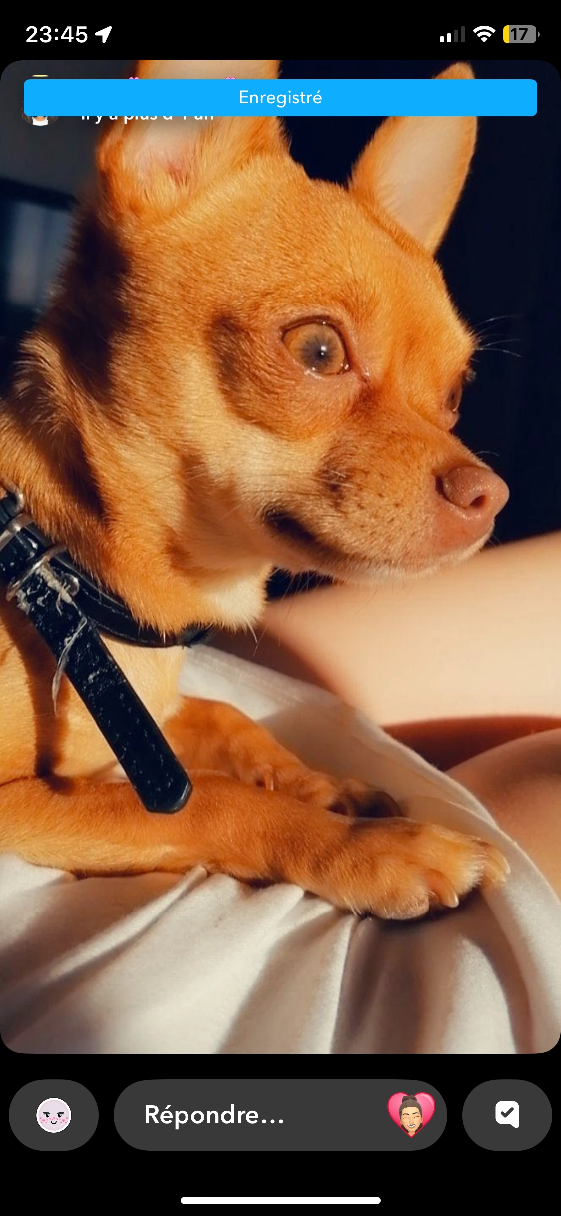 Simba - Avenue de Saint-Jean-de-Luz, L'Union