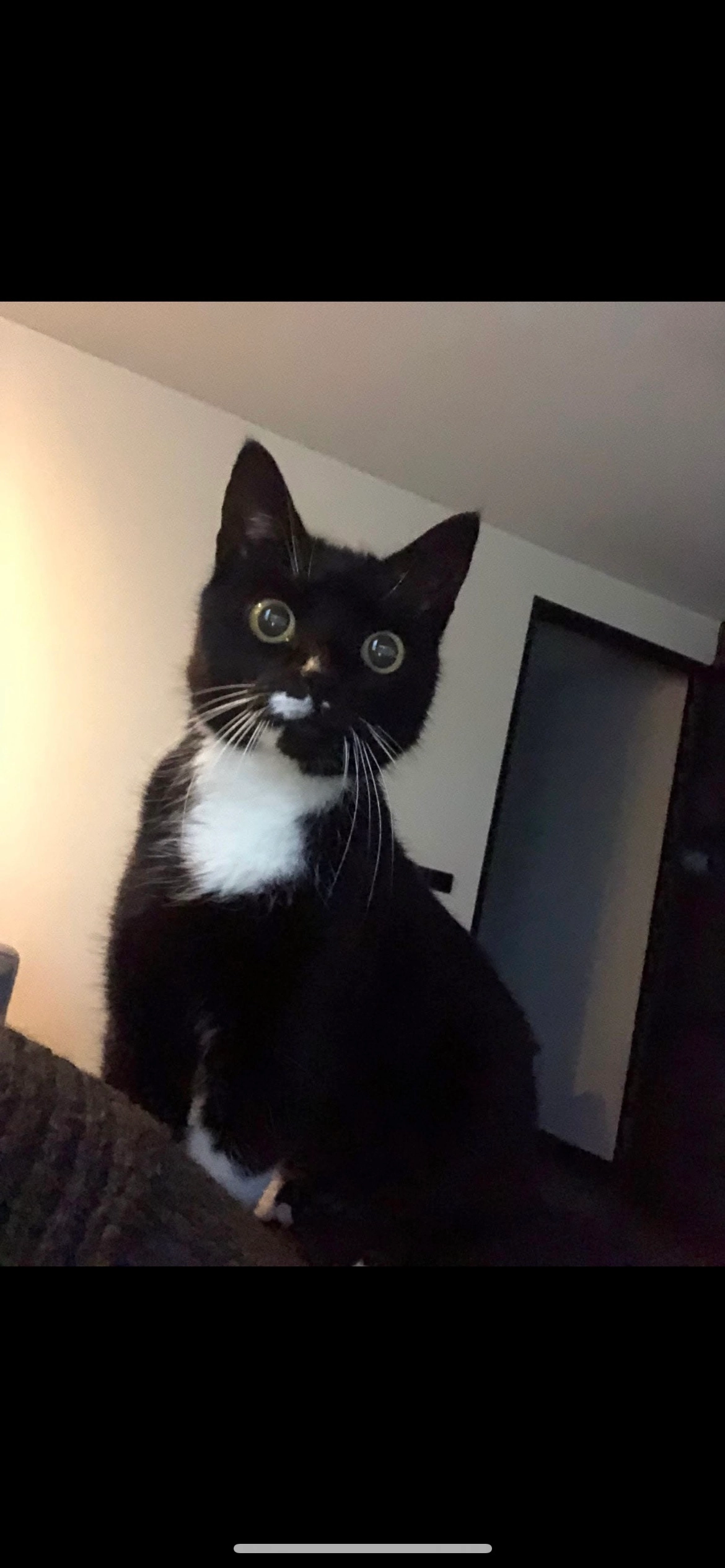 Miska - Essenhage, Stadskanaal