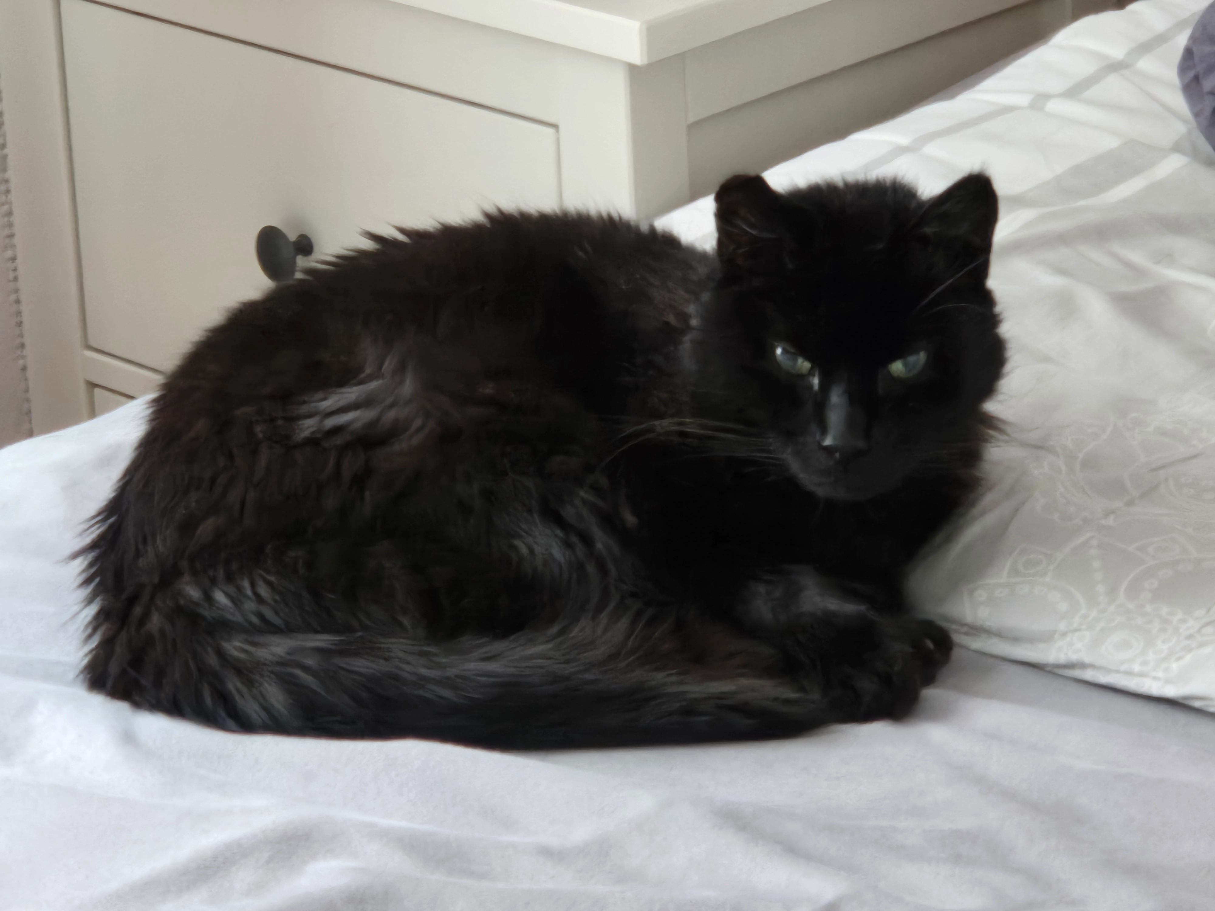 Mio - Antoniusstraße, Dorsten