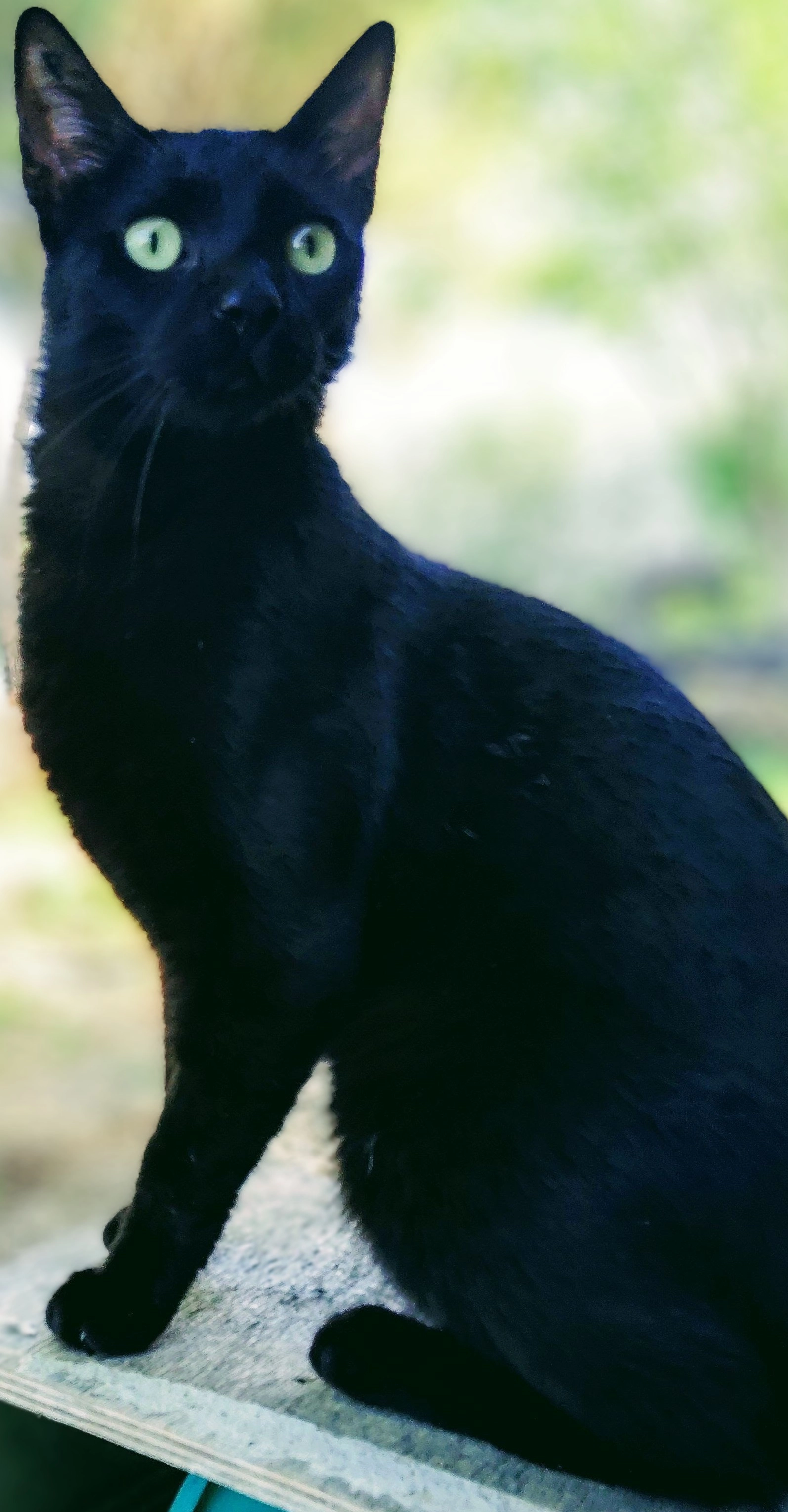 Snoop  - Chemin De La Pataquiére, Aigues-Mortes