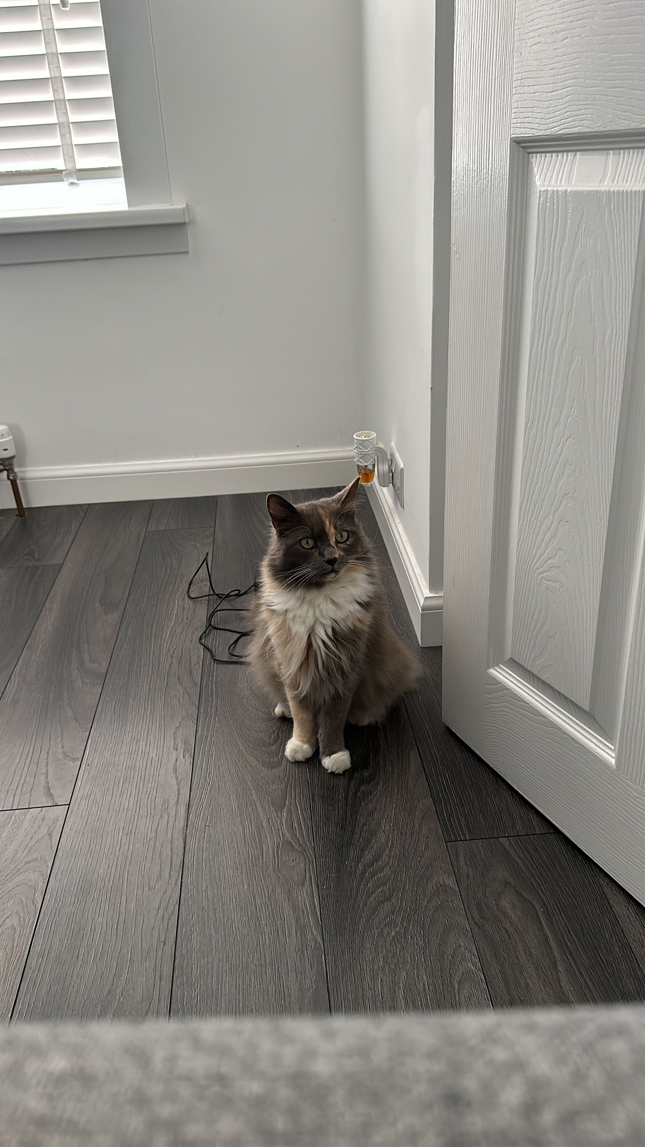 Luna - 18 Morningside Road, Aberdeen