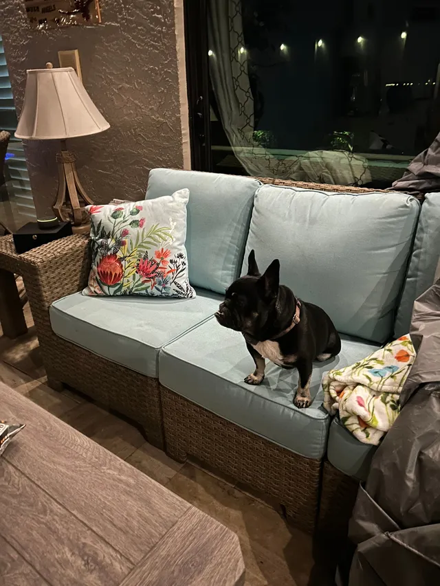 Louie - 1010 SW 14th Ter, Fort Lauderdale