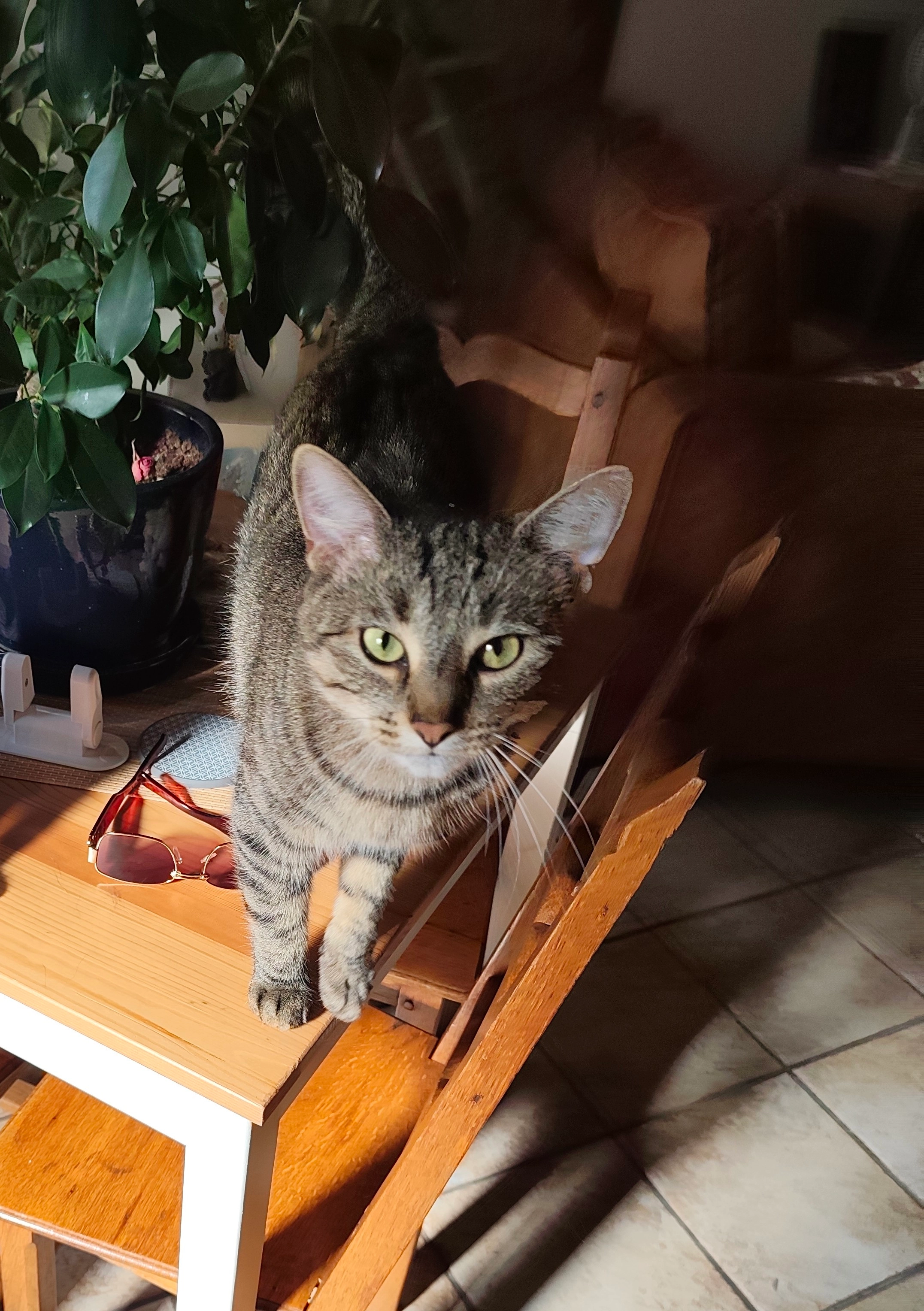 Gérard  - Rue Louis De Brouckère, La Louvière