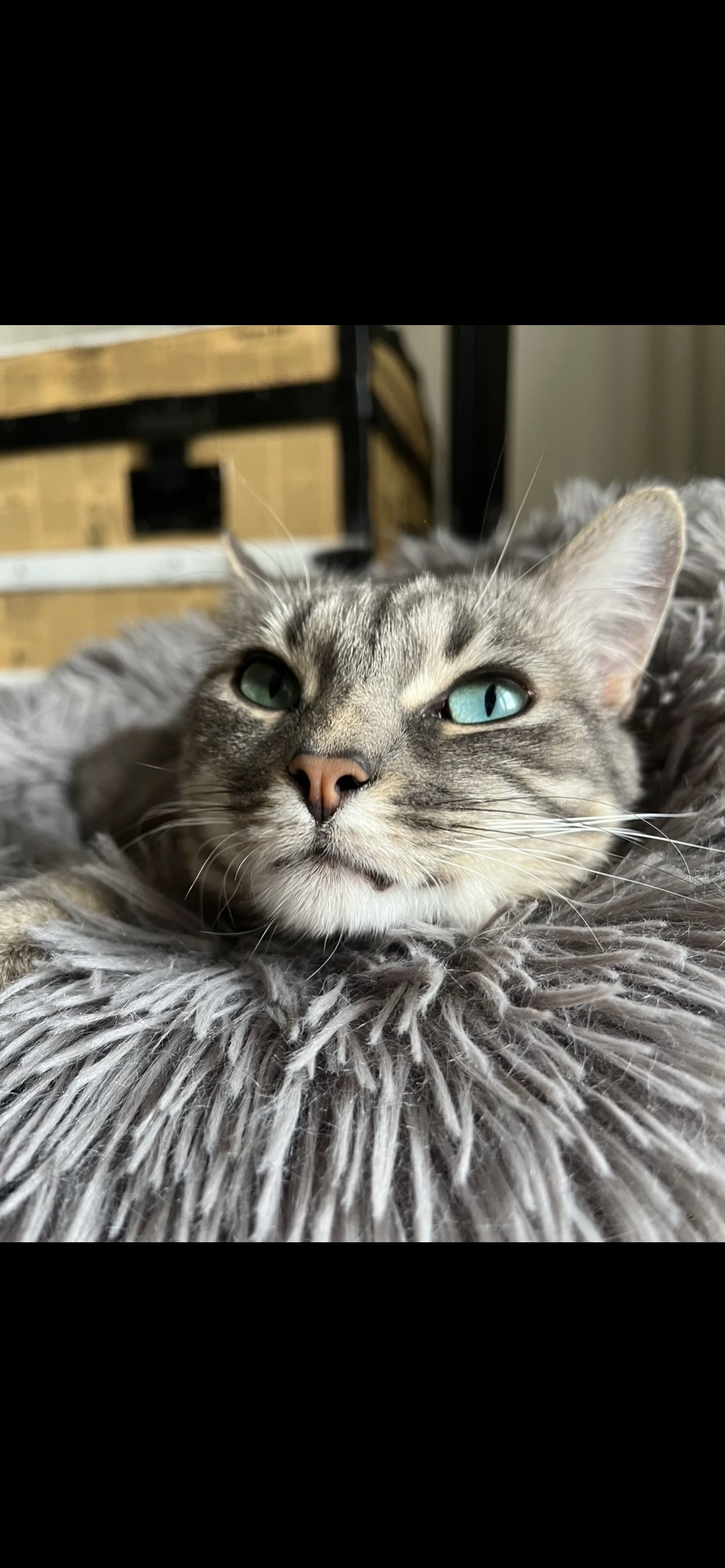 Sky - 12 Valencins, Saint-Caprais