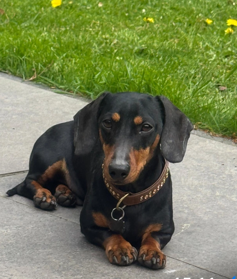 George - Harderwijkerweg, Ermelo