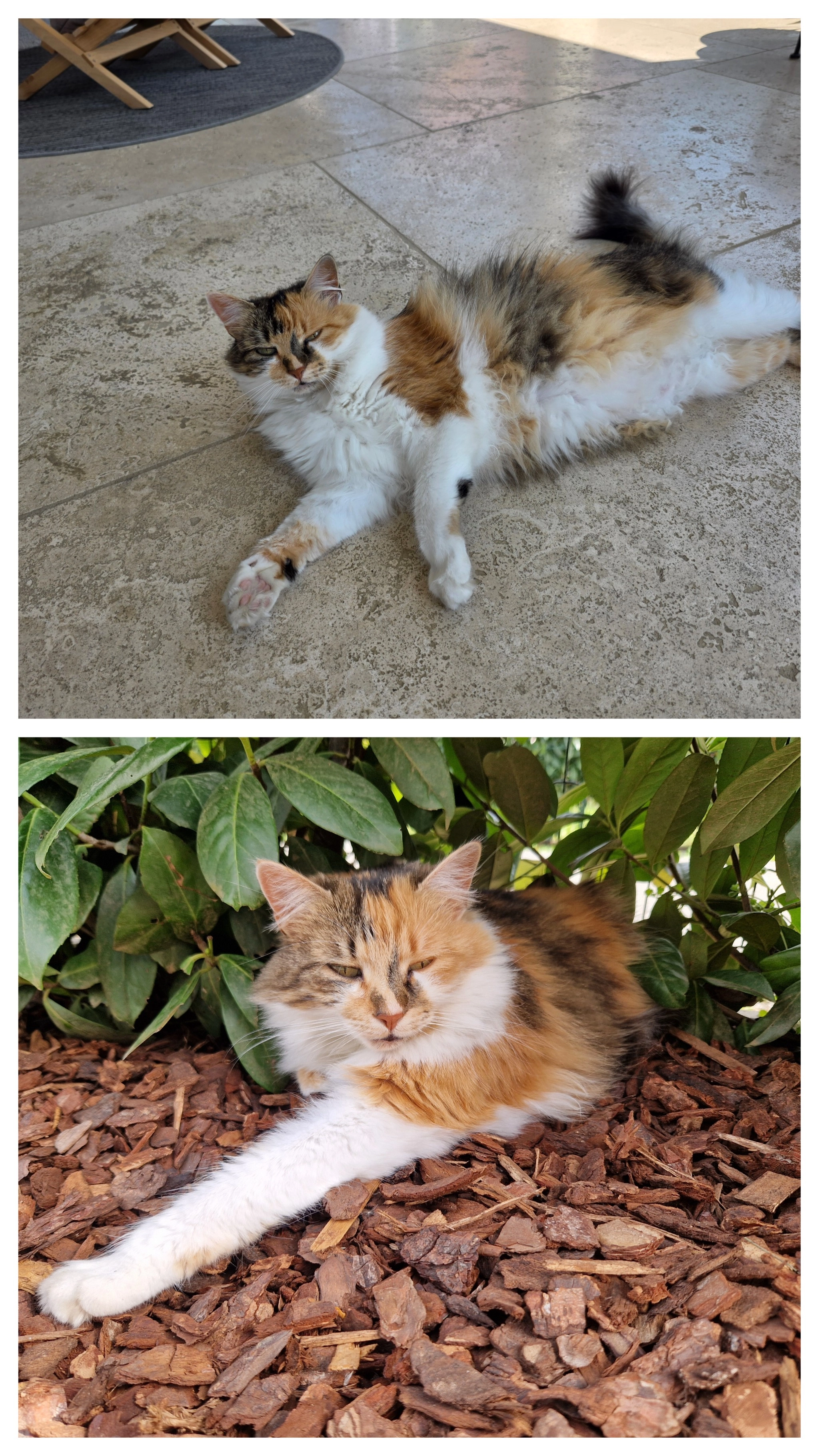 Lilo - Geidörflweg, Leibnitz