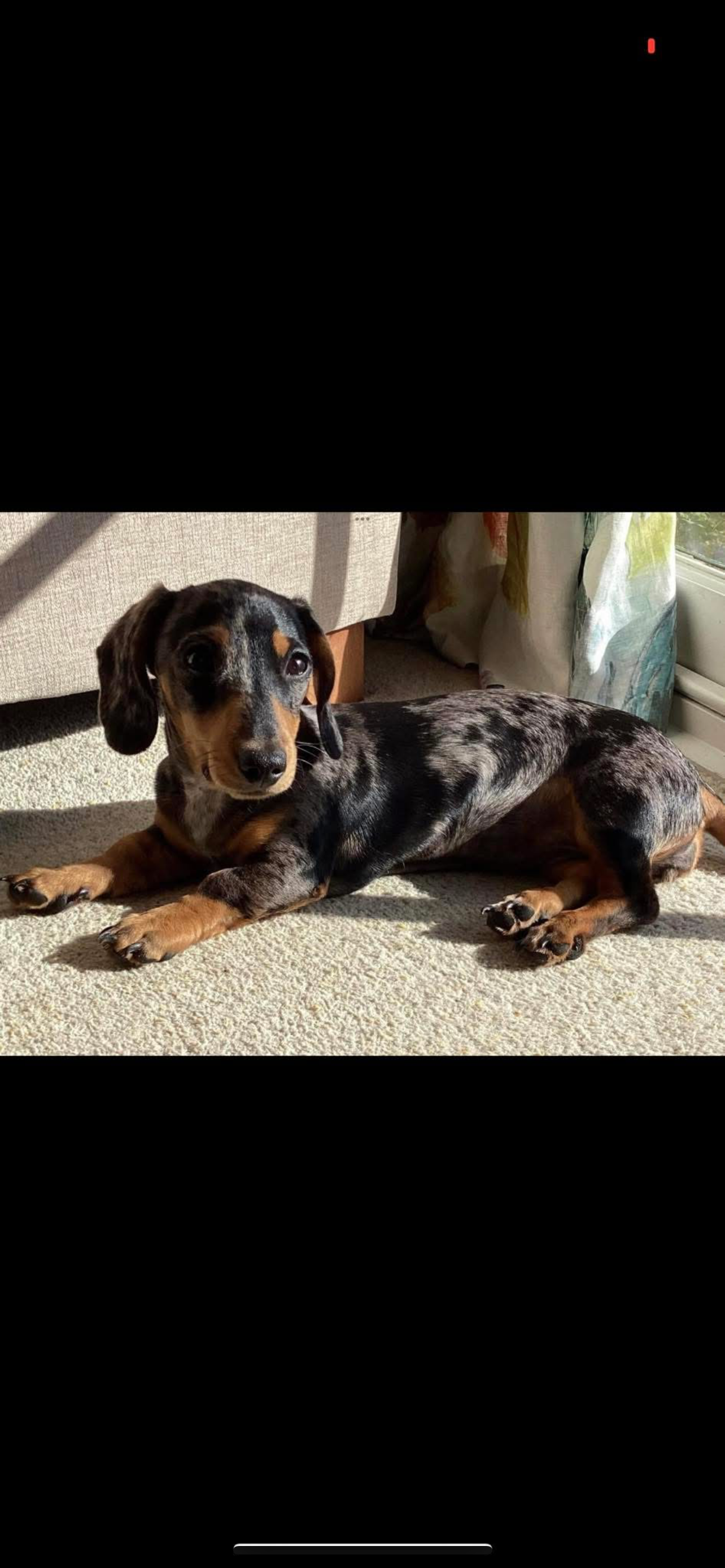 peggy - 1 Hardwick Road, Cambridge