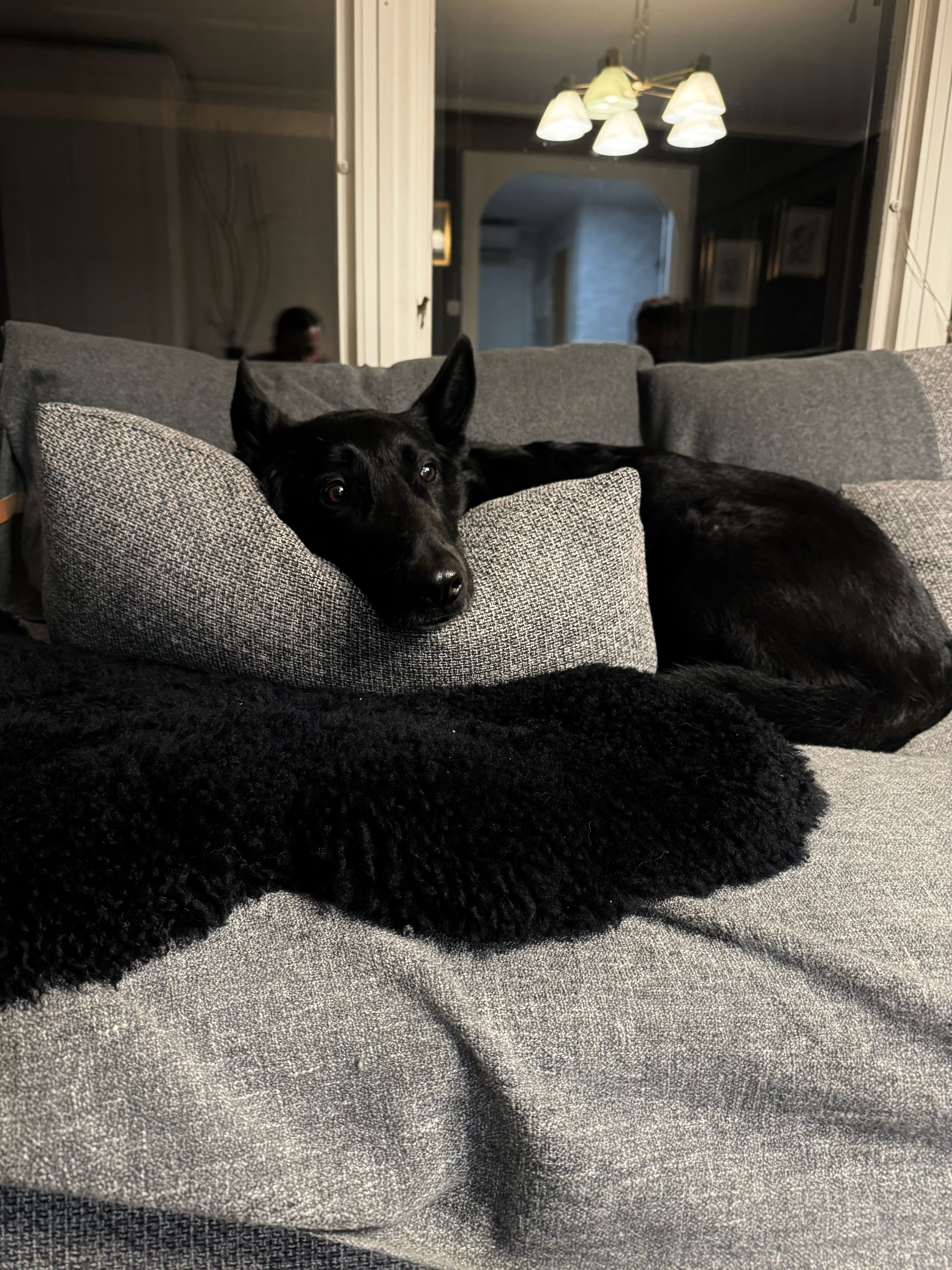 Tiger - Hemsjöhultvägen, Olofström