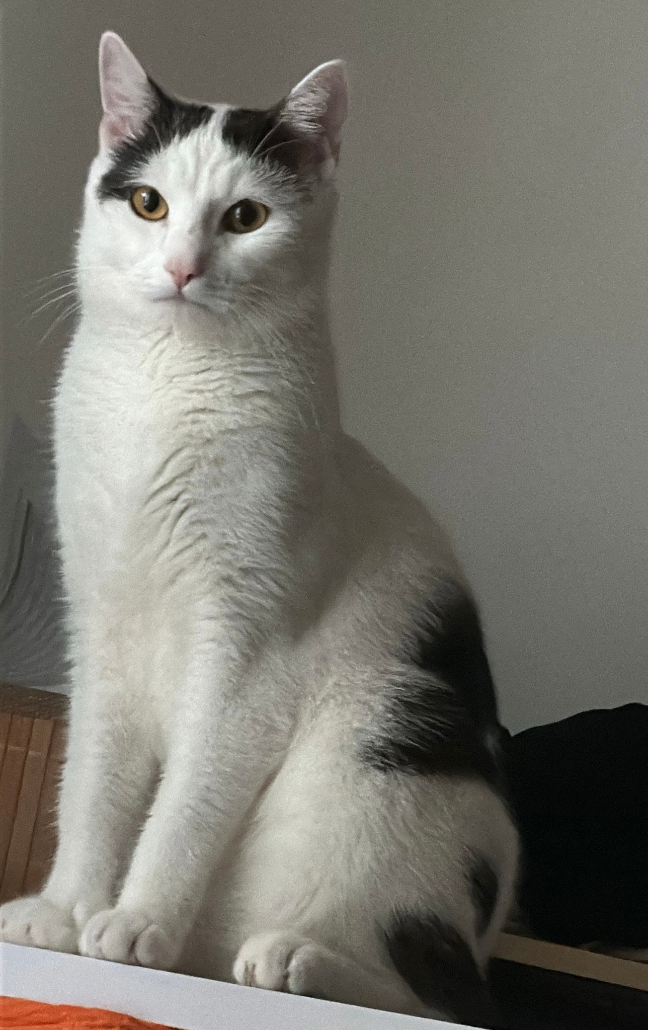 Uzay - Wagingerstraße, Kufstein