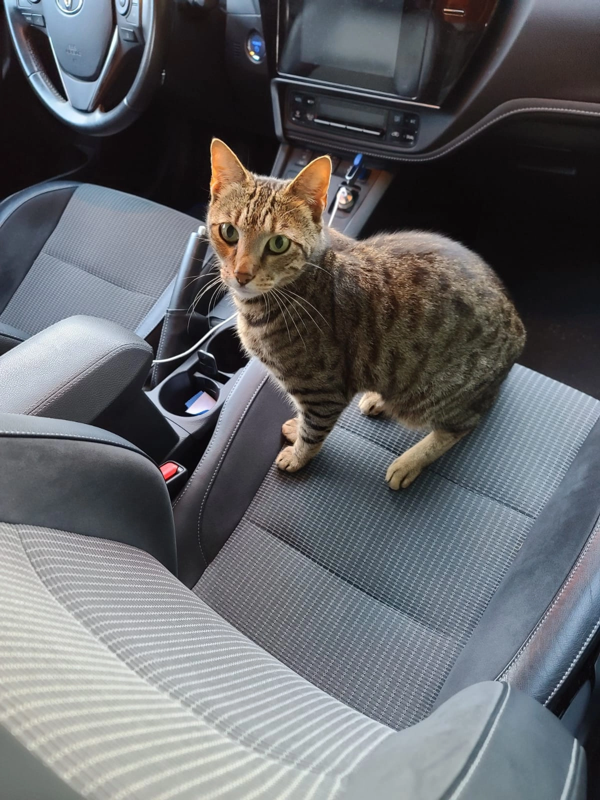 Ferdinand - Im Blümert, Aalen