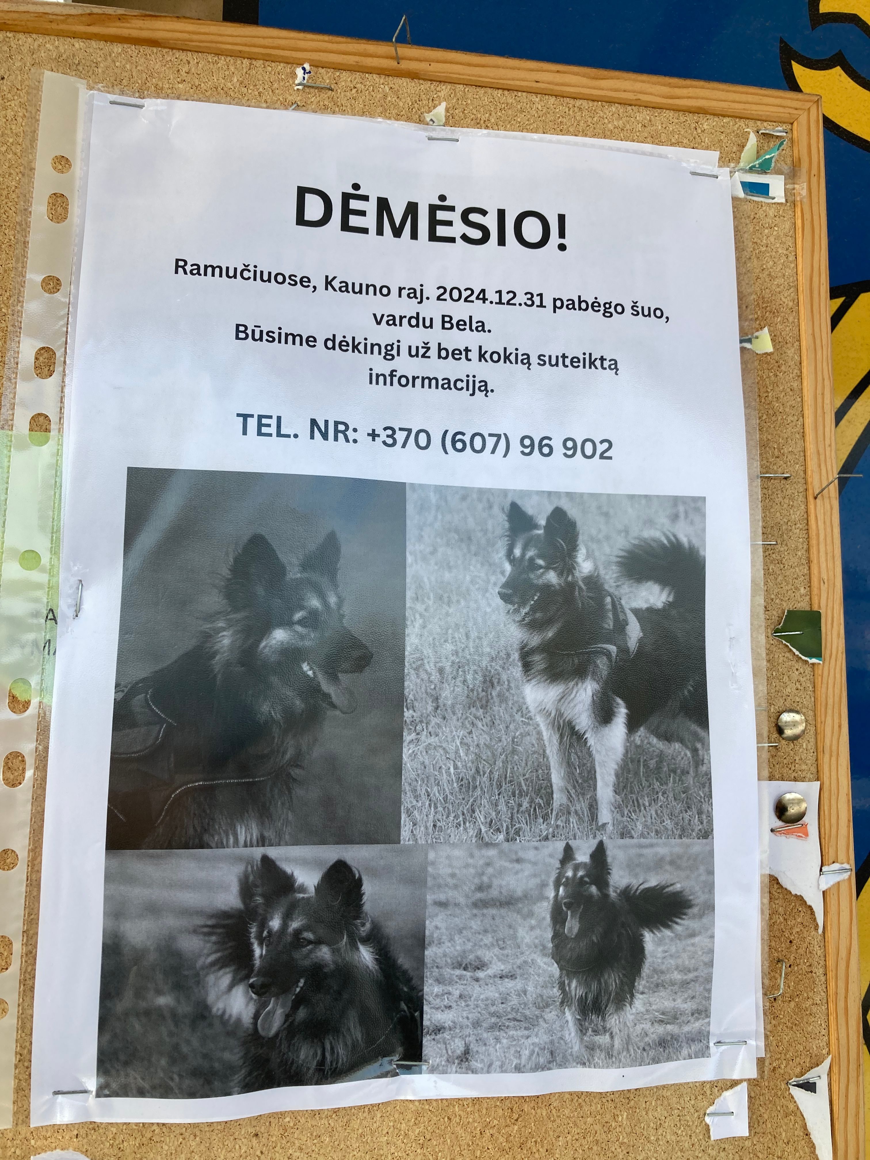 Bela - Ramučiai, Karmėlava