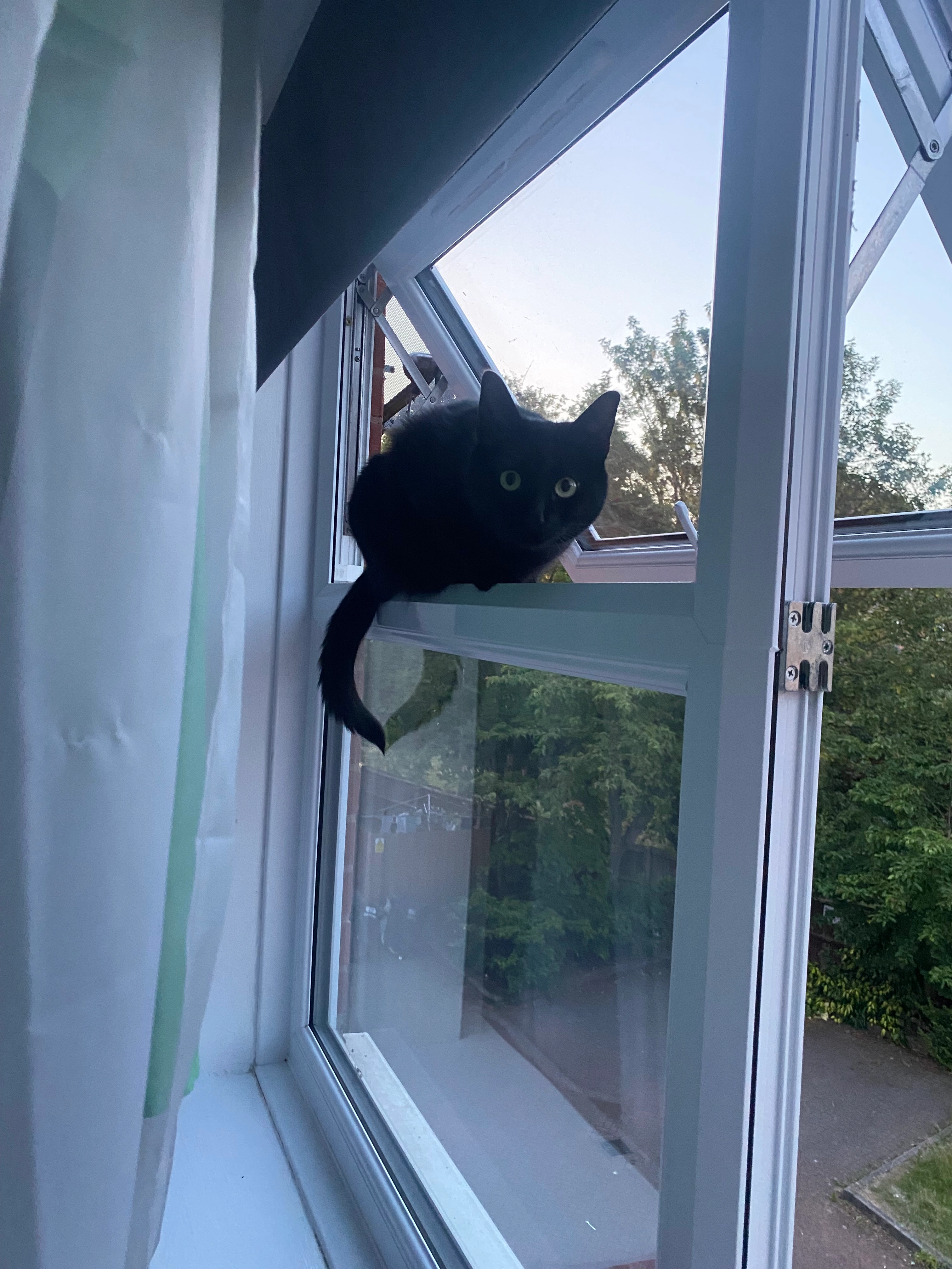 Mimee - NG31 6, Grantham