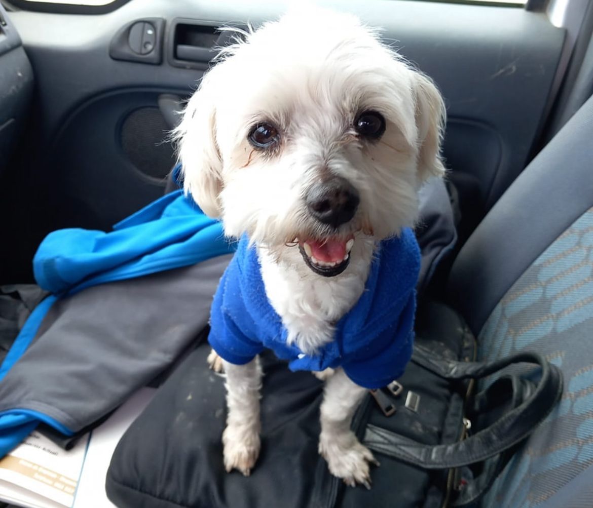 Copito Serrano  - Diseminado Torrecilla, Lorca