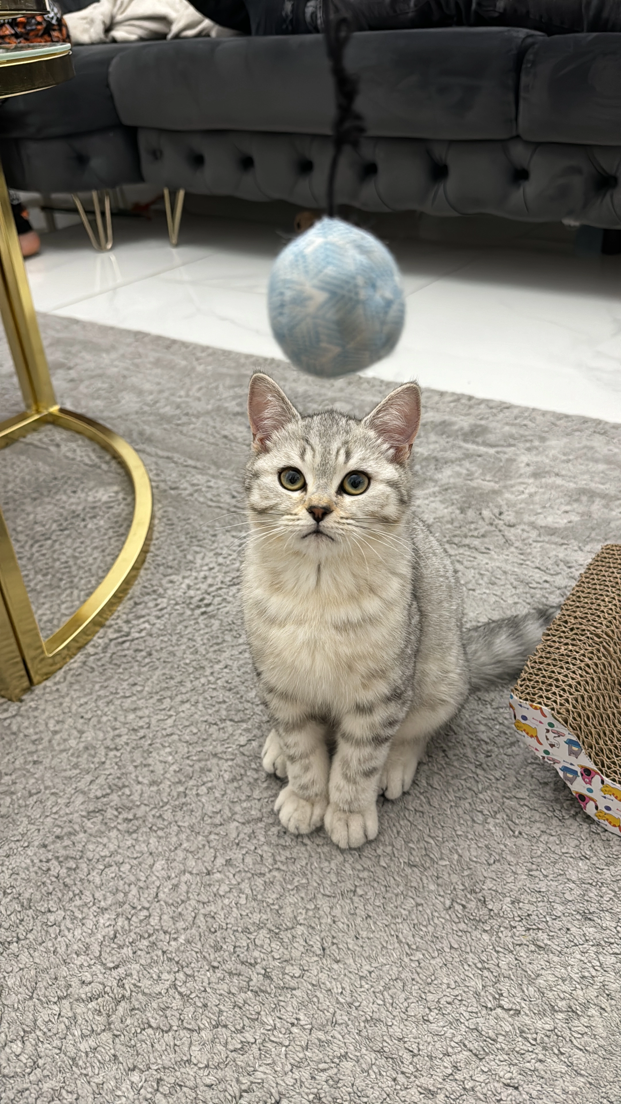 Yuki - Hobackestraße, Gelsenkirchen