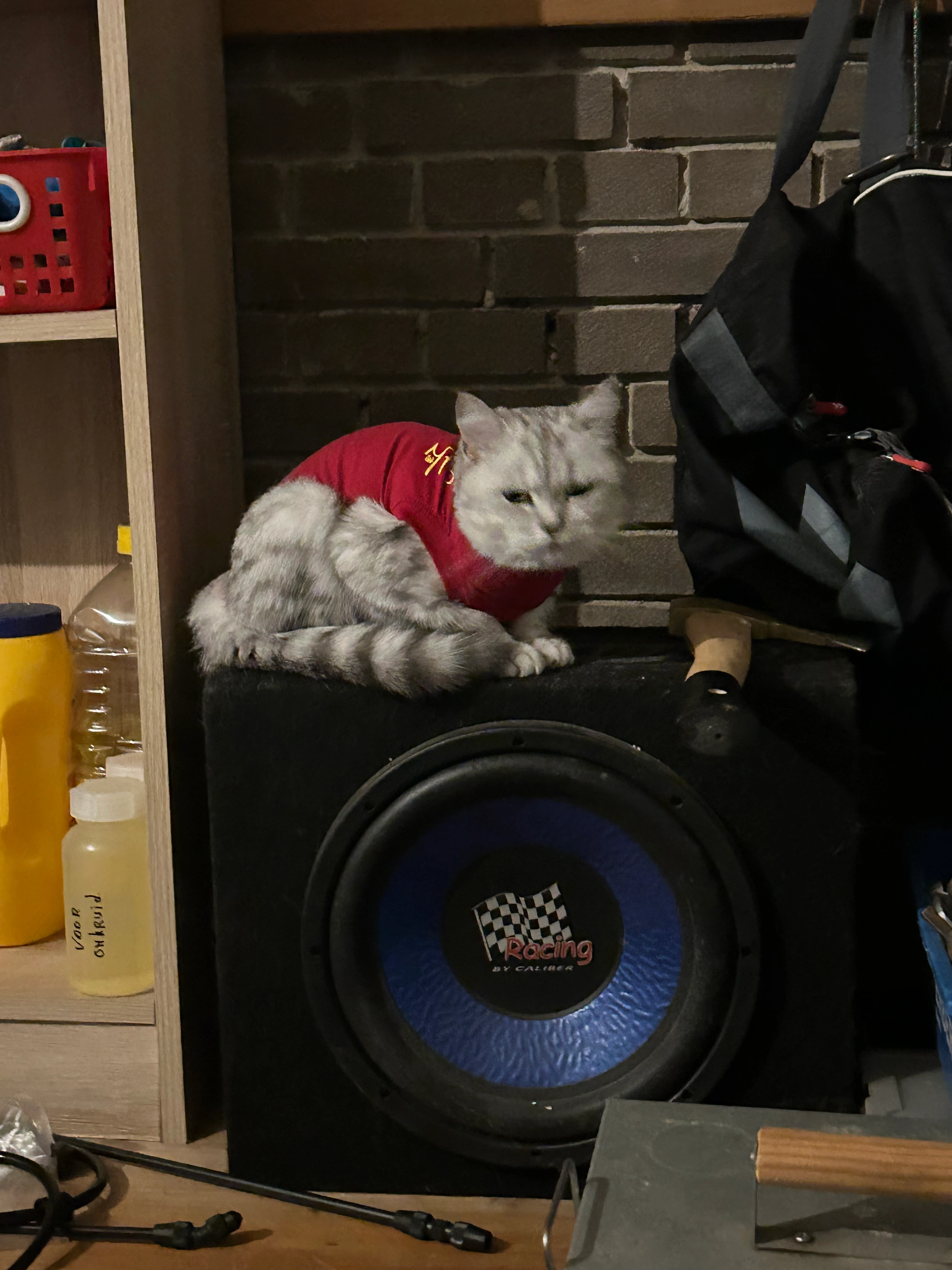 Lutsie - Rijksstraatweg, Voorst