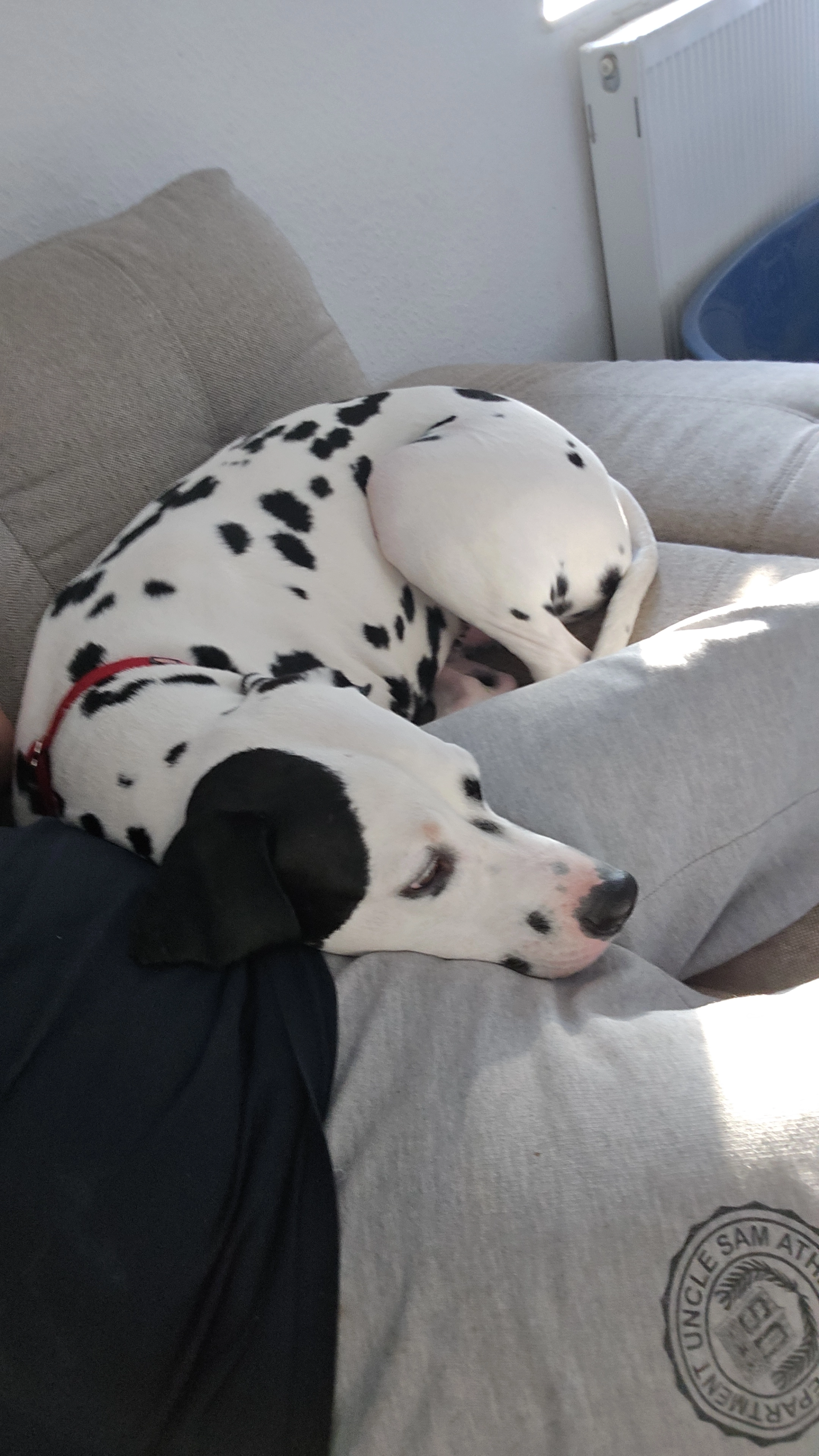 Hunter - Niddaer Straße, Hungen