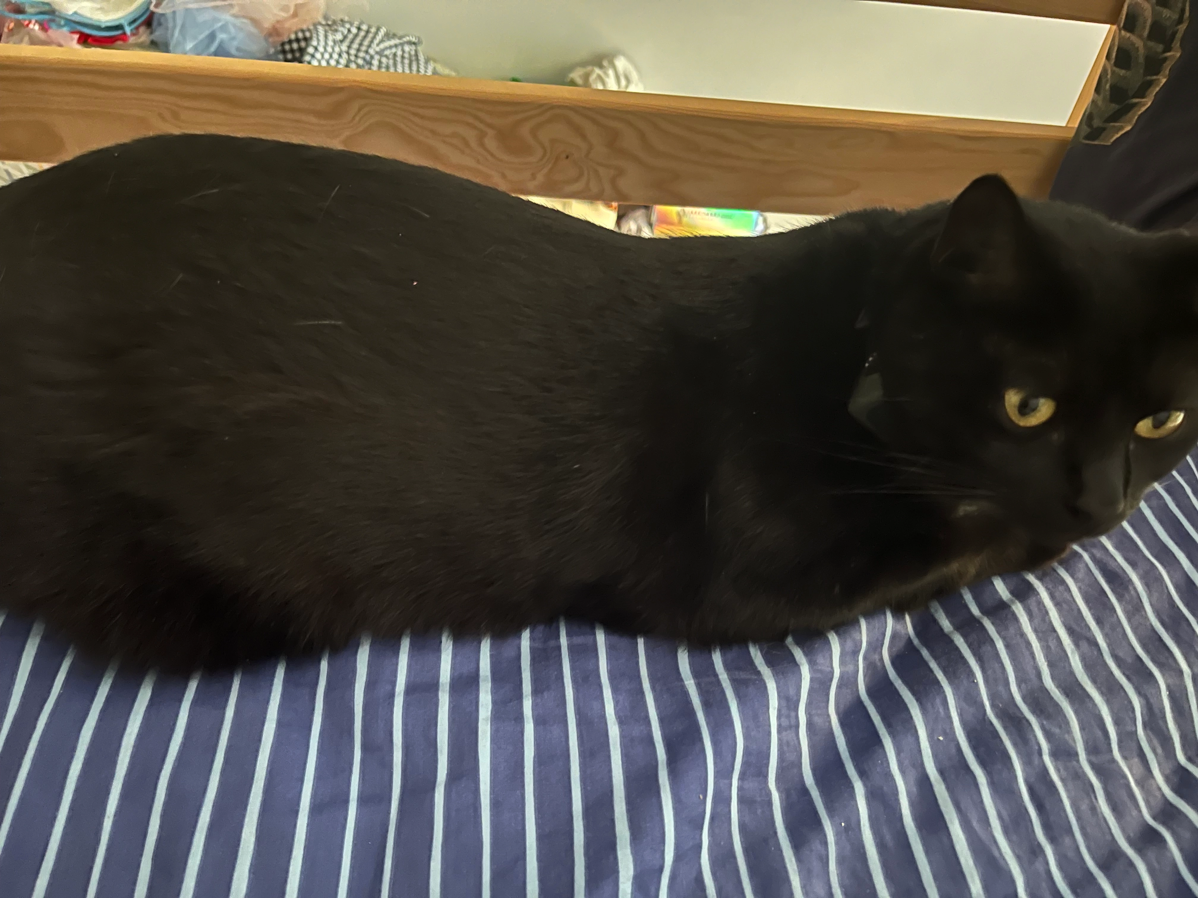 Chiara - Impasse De La Vologne, Beauménil