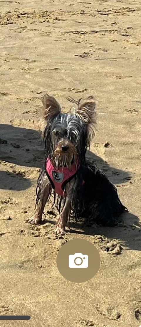 Aby - Chemin du Canton, Buros