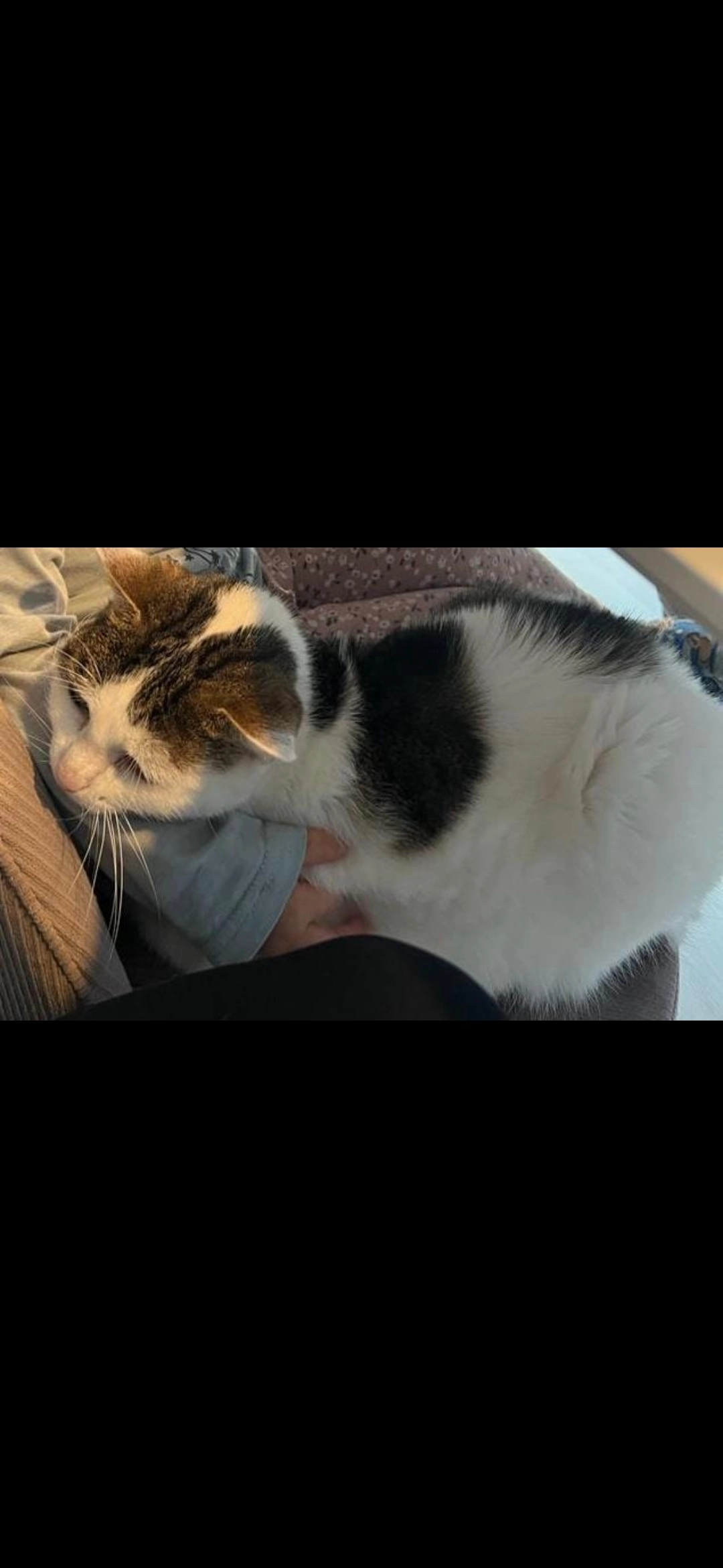 Miezi - Falkenweg, Velburg