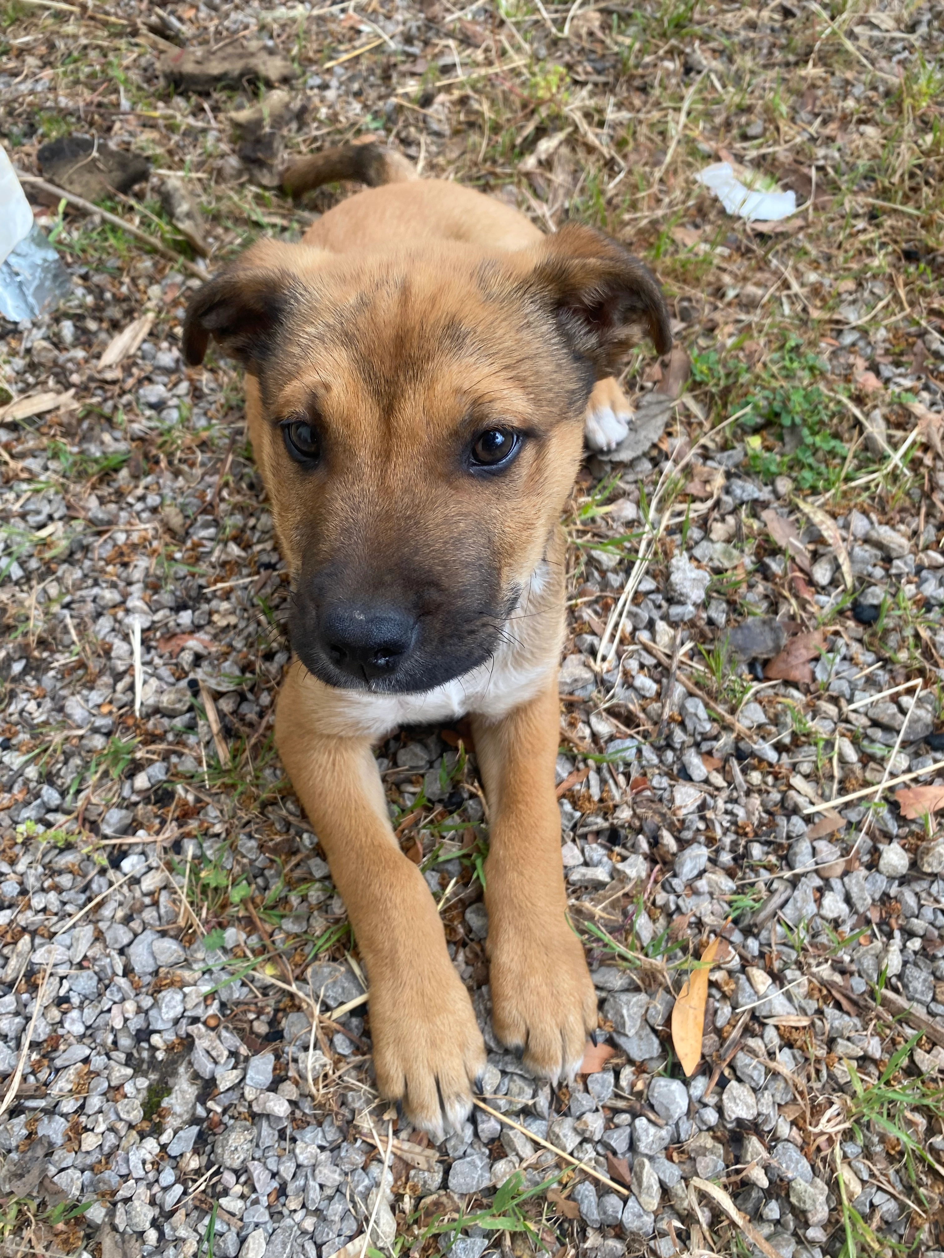 Dasti - 92 Chemin Sainte-Barbe, Draguignan