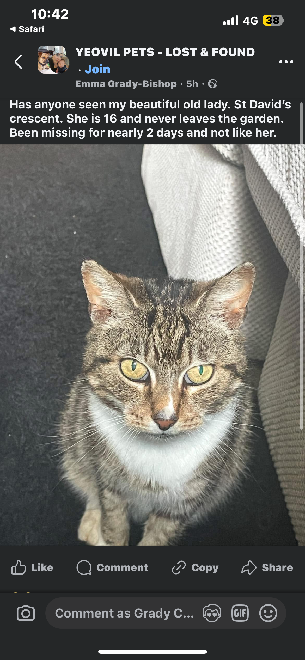 Monet - St David's Crescent, Yeovil