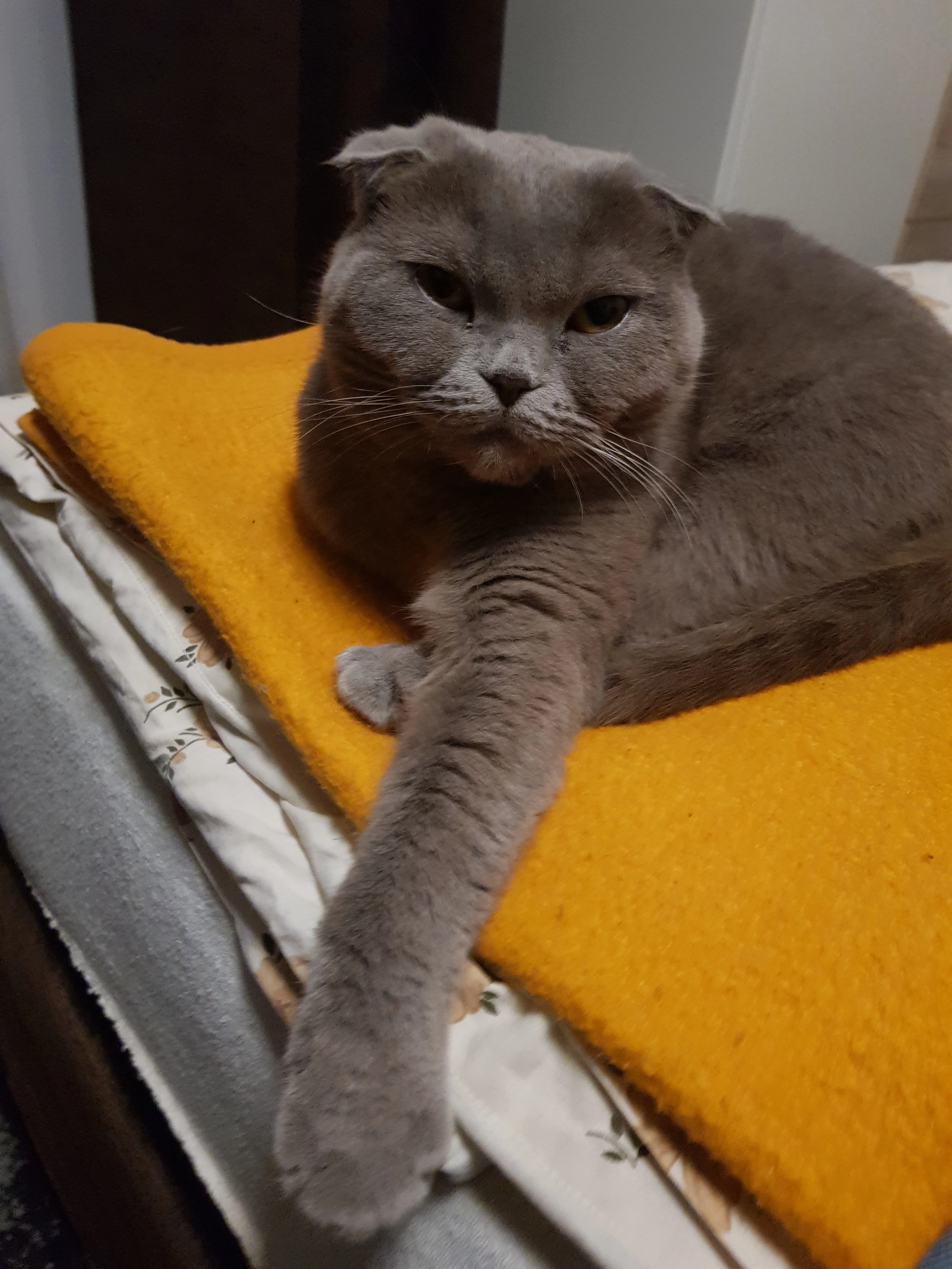 Dascha - Küsterstraße, Berlin