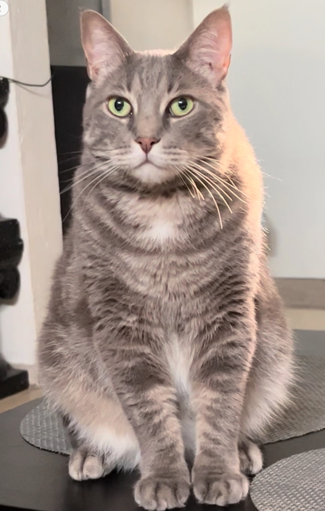 Berlin - Rue Adolphe Sax, Marignane