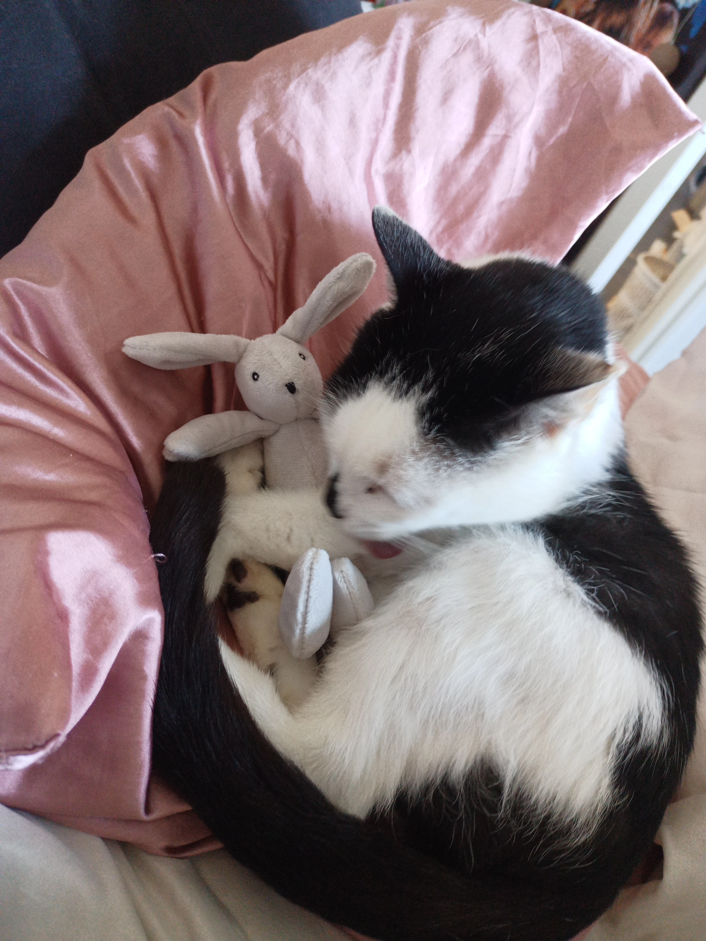 Ninja - Rue Des Artisans, Plumelec