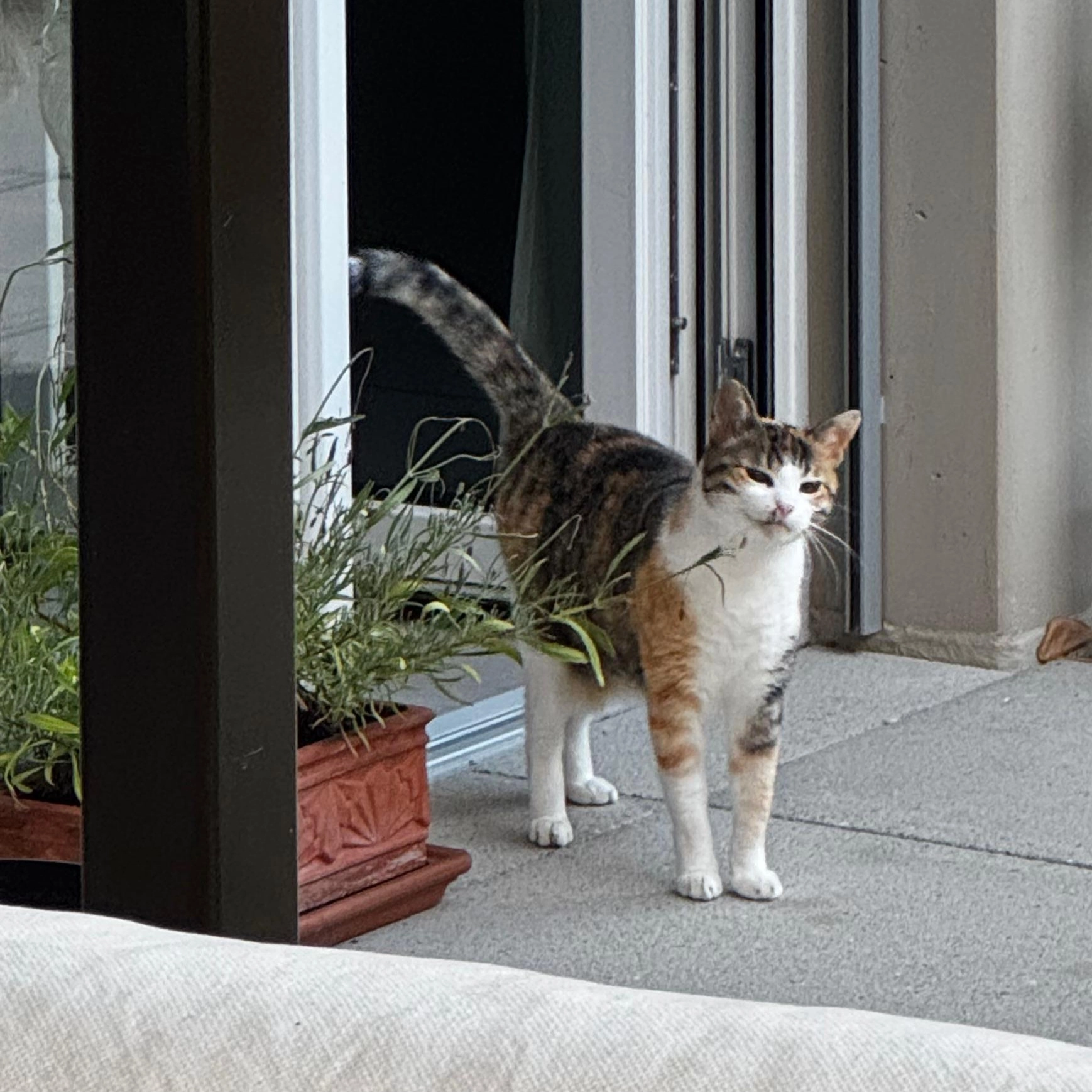 Mira - Schaubergasse, Winterthur