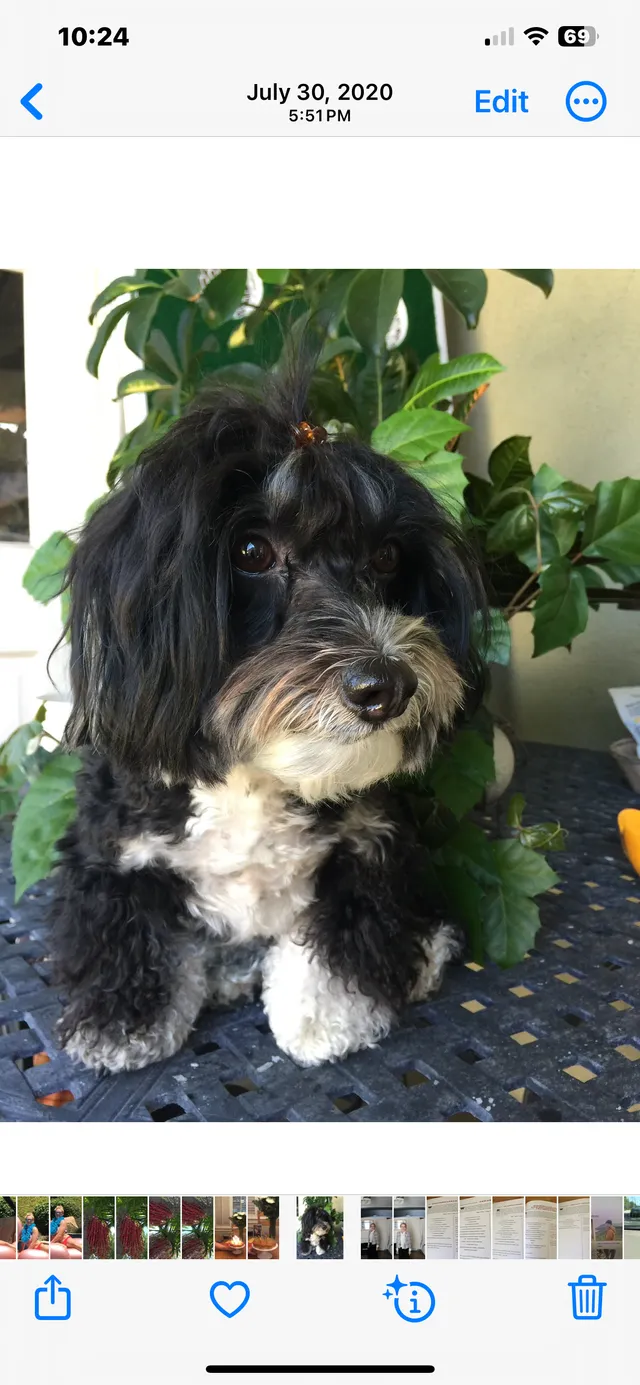 Rambo - 1254 Pine Edge Dr, La Habra