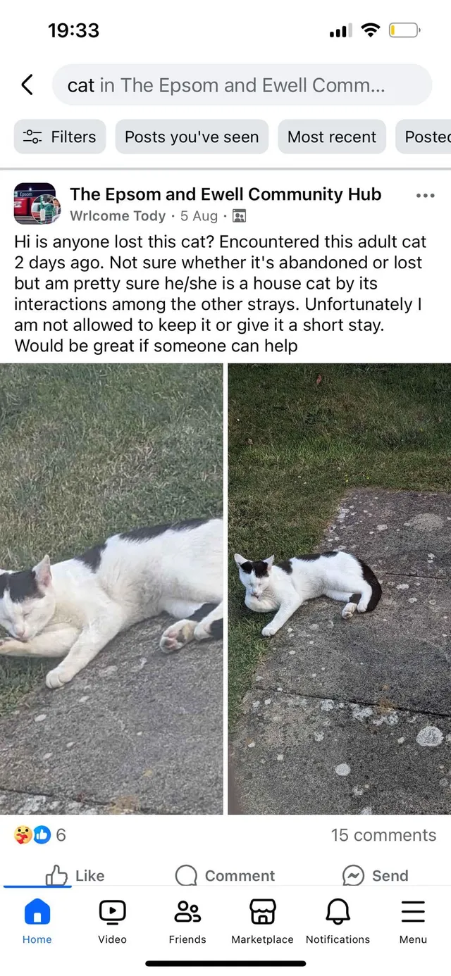Oreo - East Street, Epsom