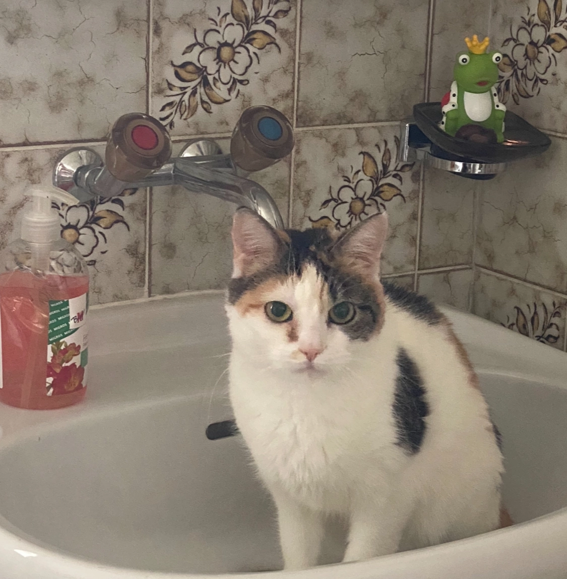 Soraya - Haldistrasse, Schattdorf