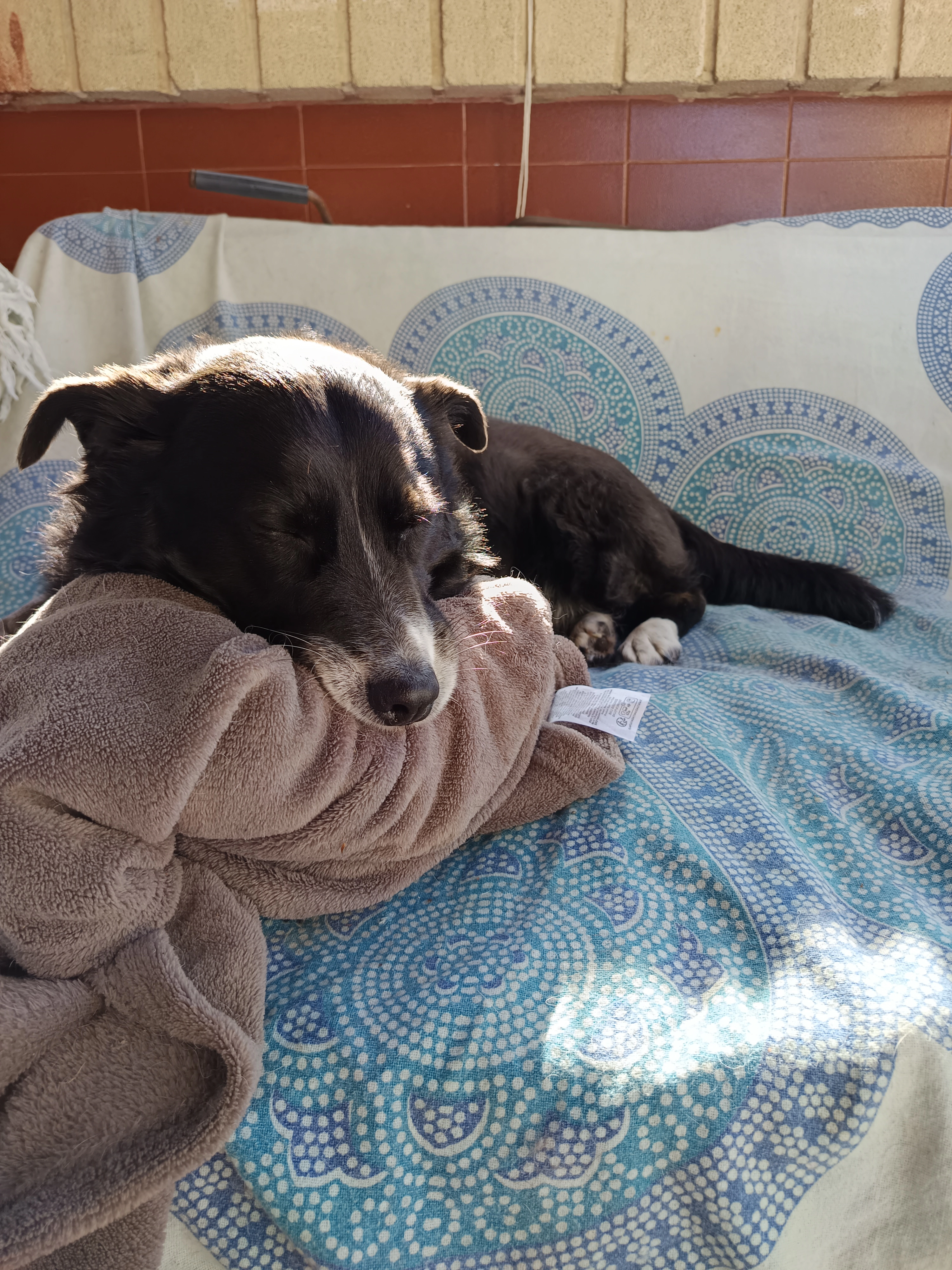 Zen - El Saler, València