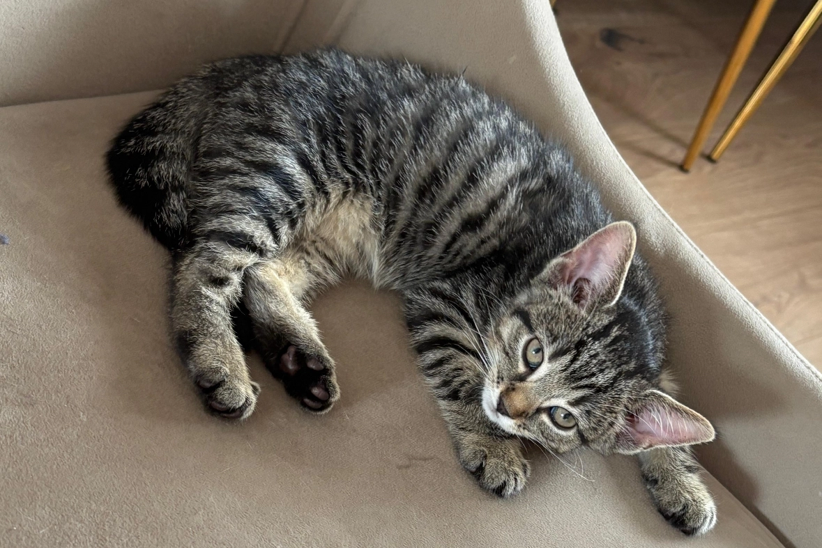 Marvi - Hömshohl, Bad Hönningen