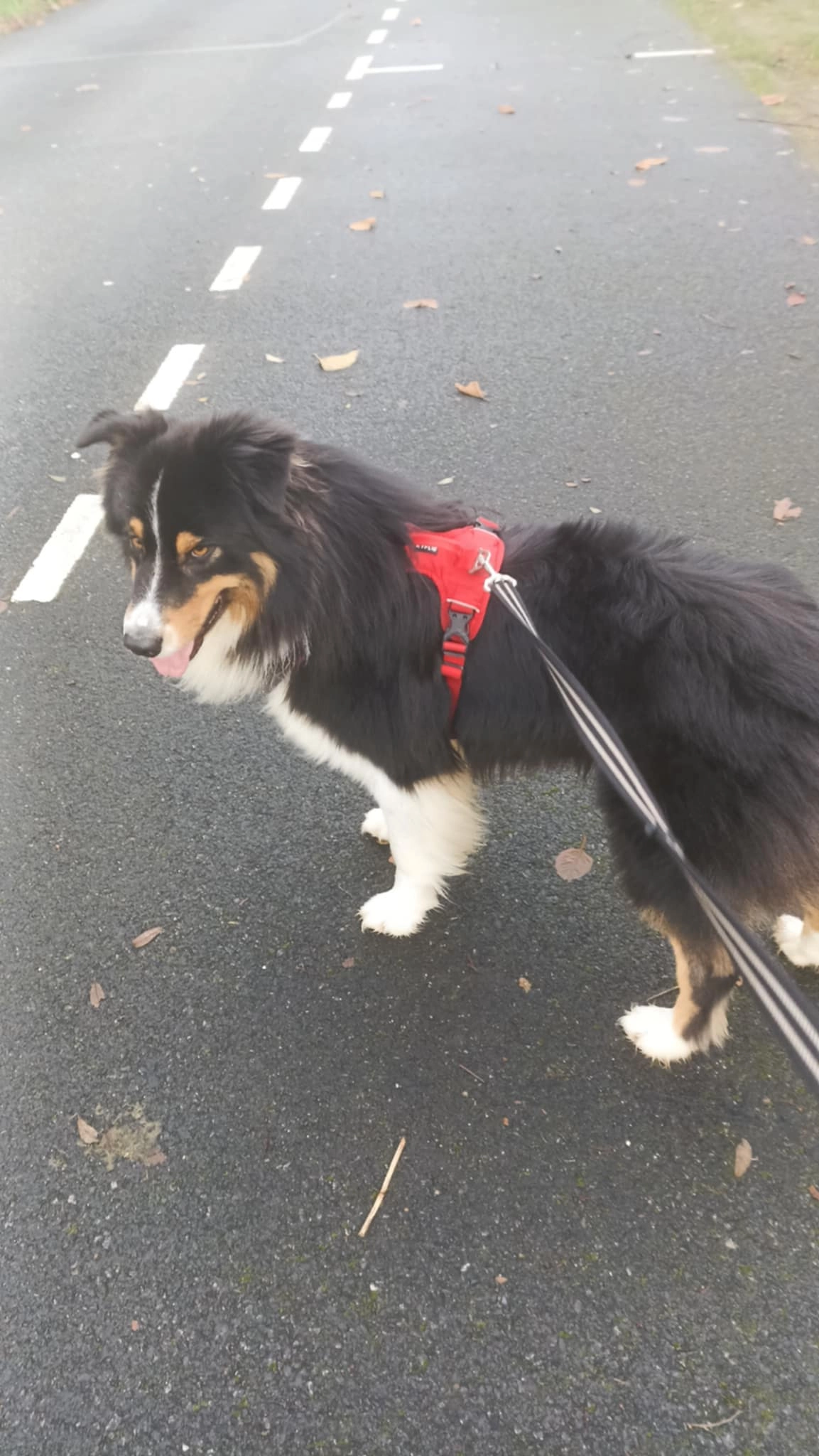 Sky - 14 Avenue de Schleiden, Pont-l'Abbé