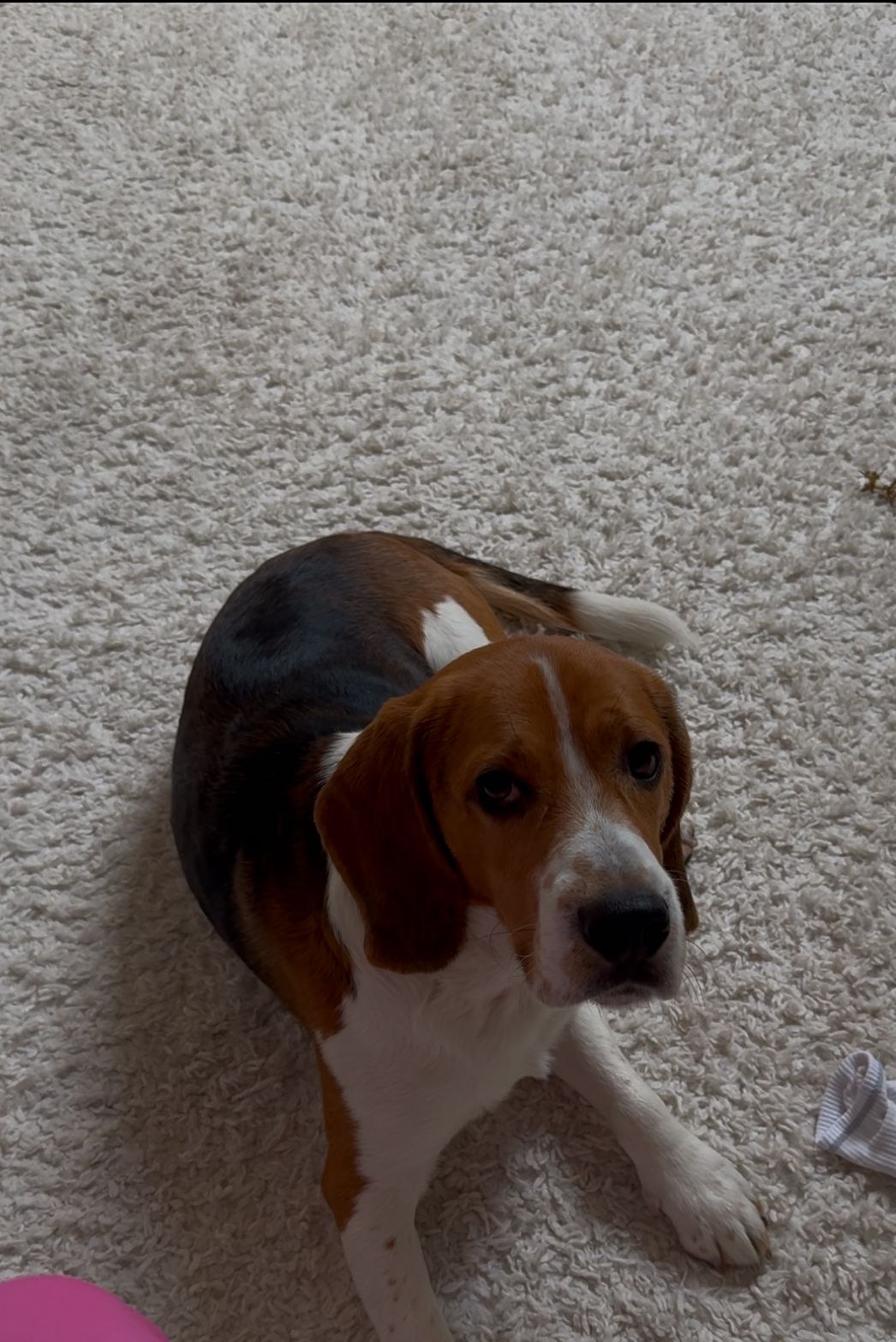 Hugo - Karlstraße, Cologne