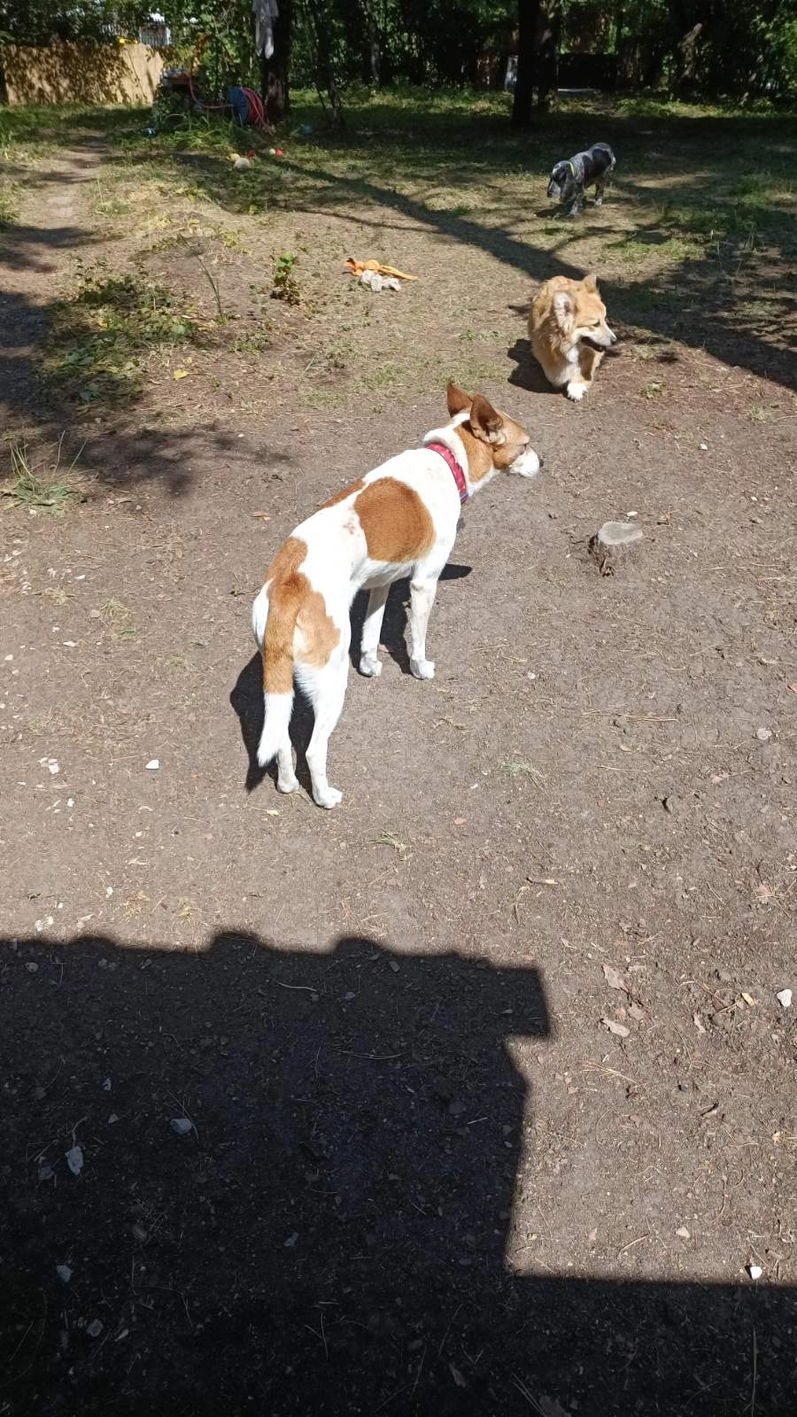 Rita - Martindale Way, Cambridge