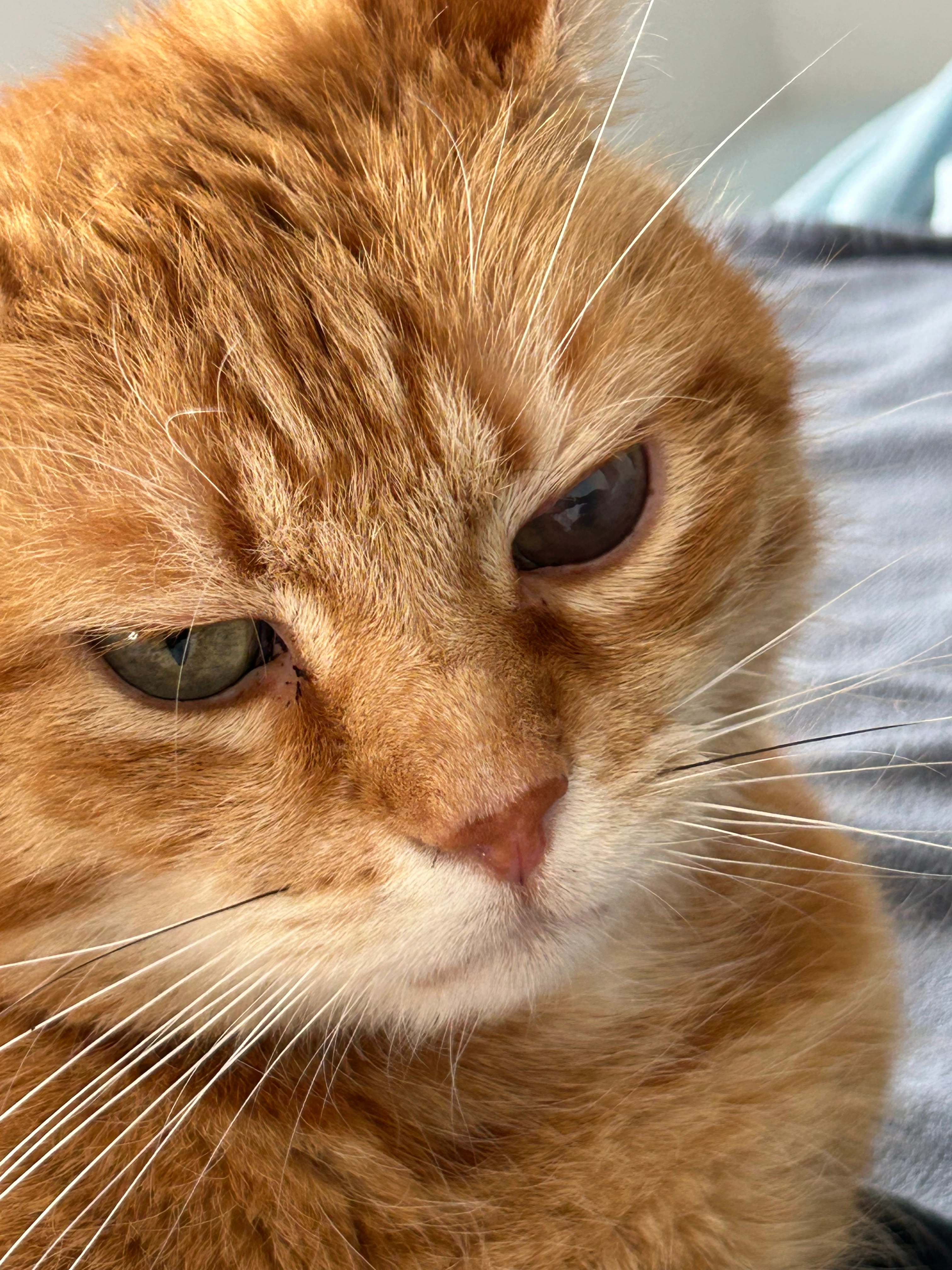 Nils - Hermann-Löns-Straße, Greven